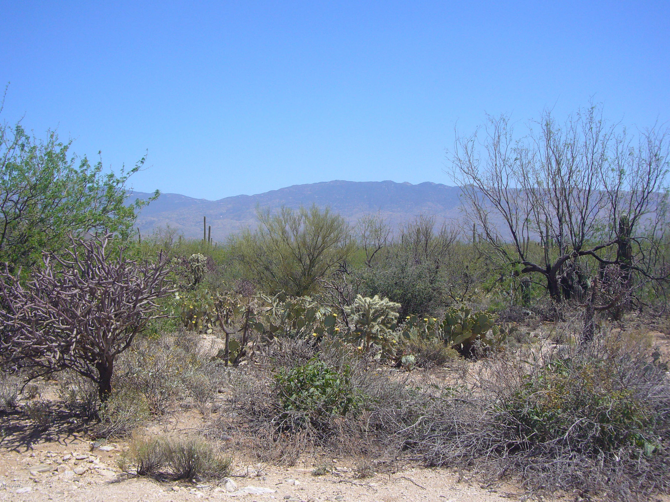 Fetzer Ranch (1-60) - Land