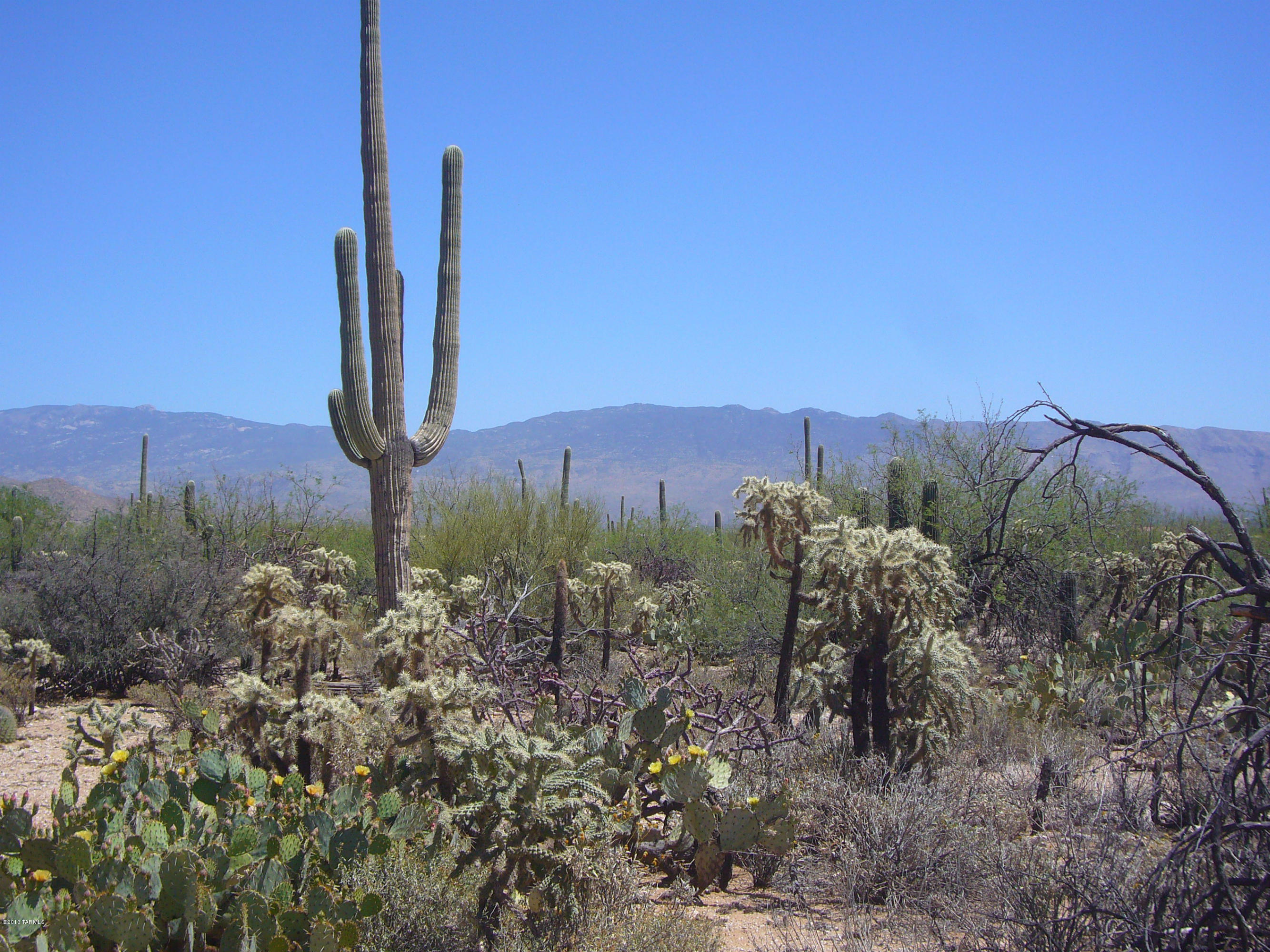 Fetzer Ranch (1-60) - Land