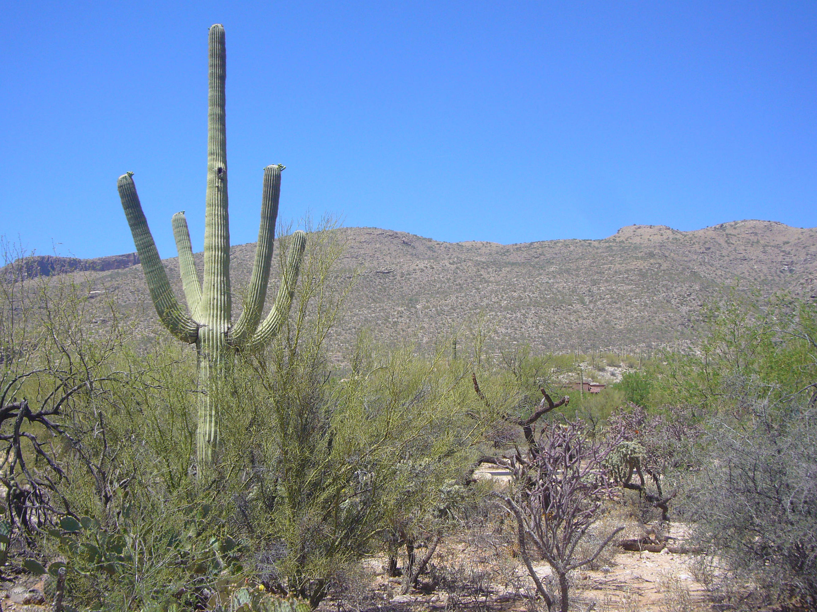 Fetzer Ranch (1-60) - Land