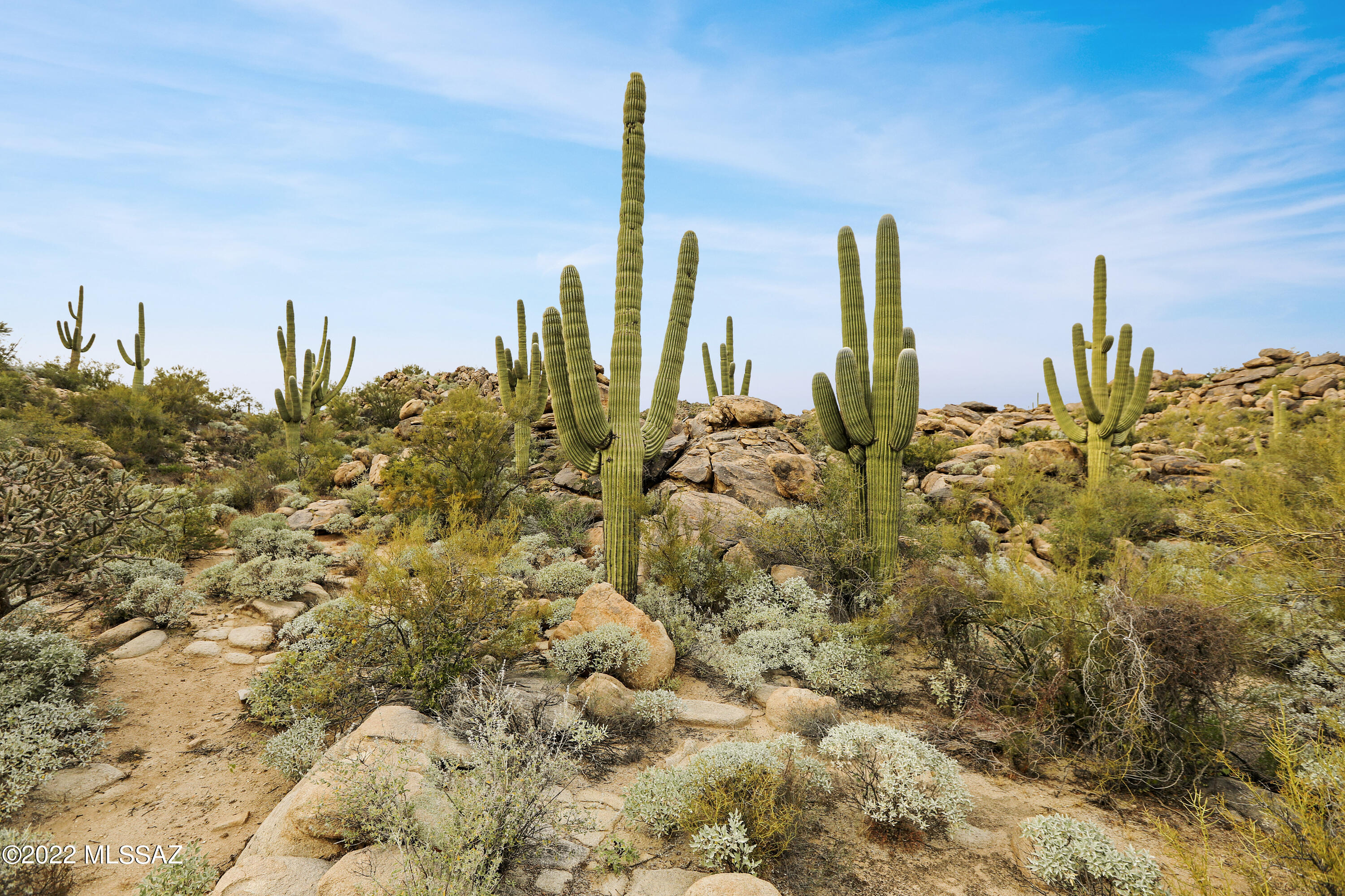 Stone Canyon VIII (486-602) - Land