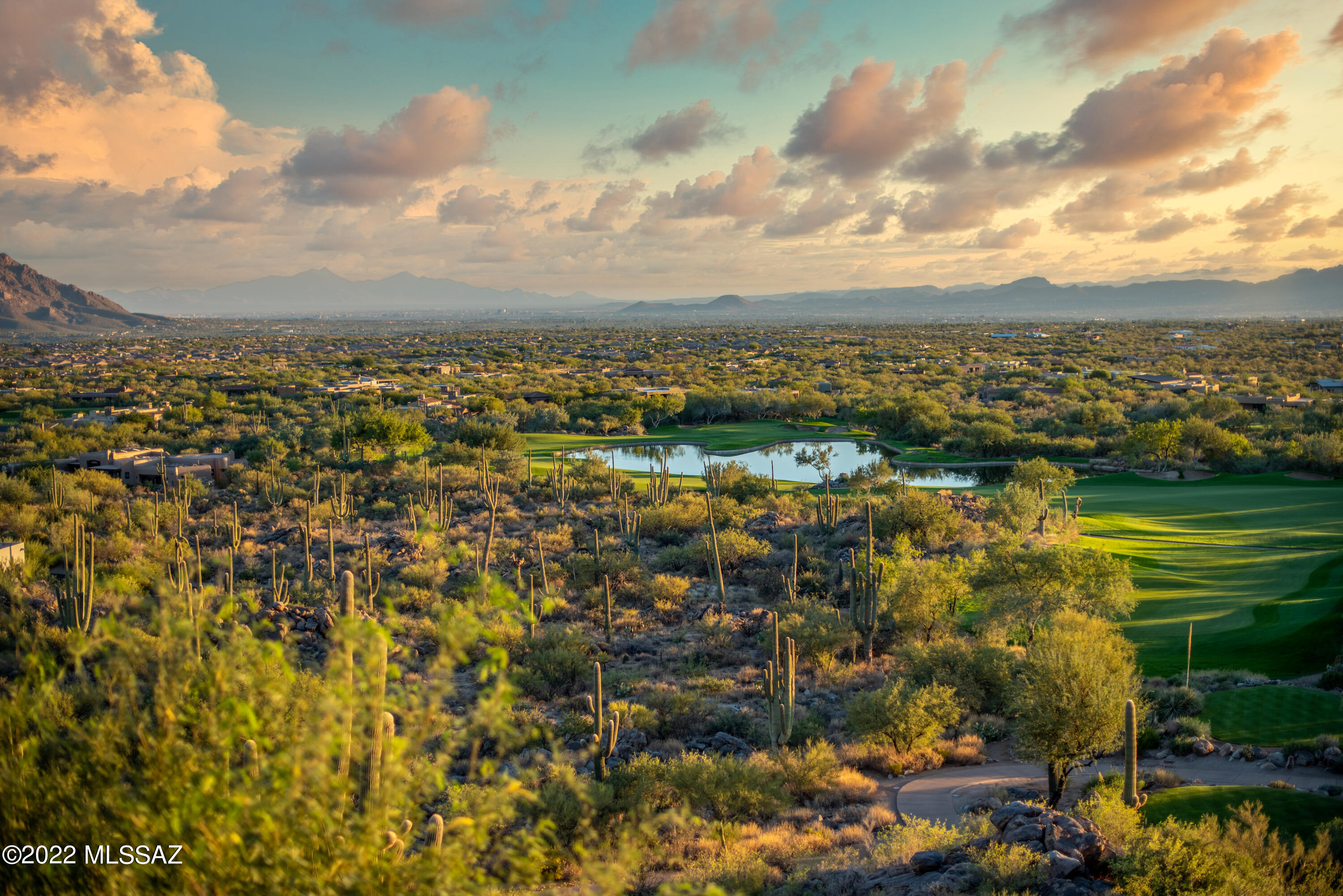 Stone Canyon VIII (486-602) - Land