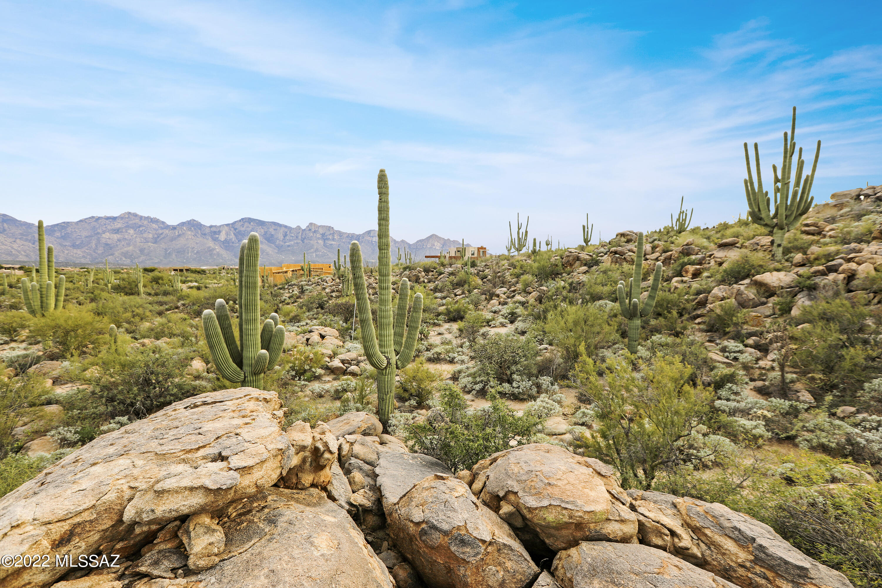 Stone Canyon VIII (486-602) - Land