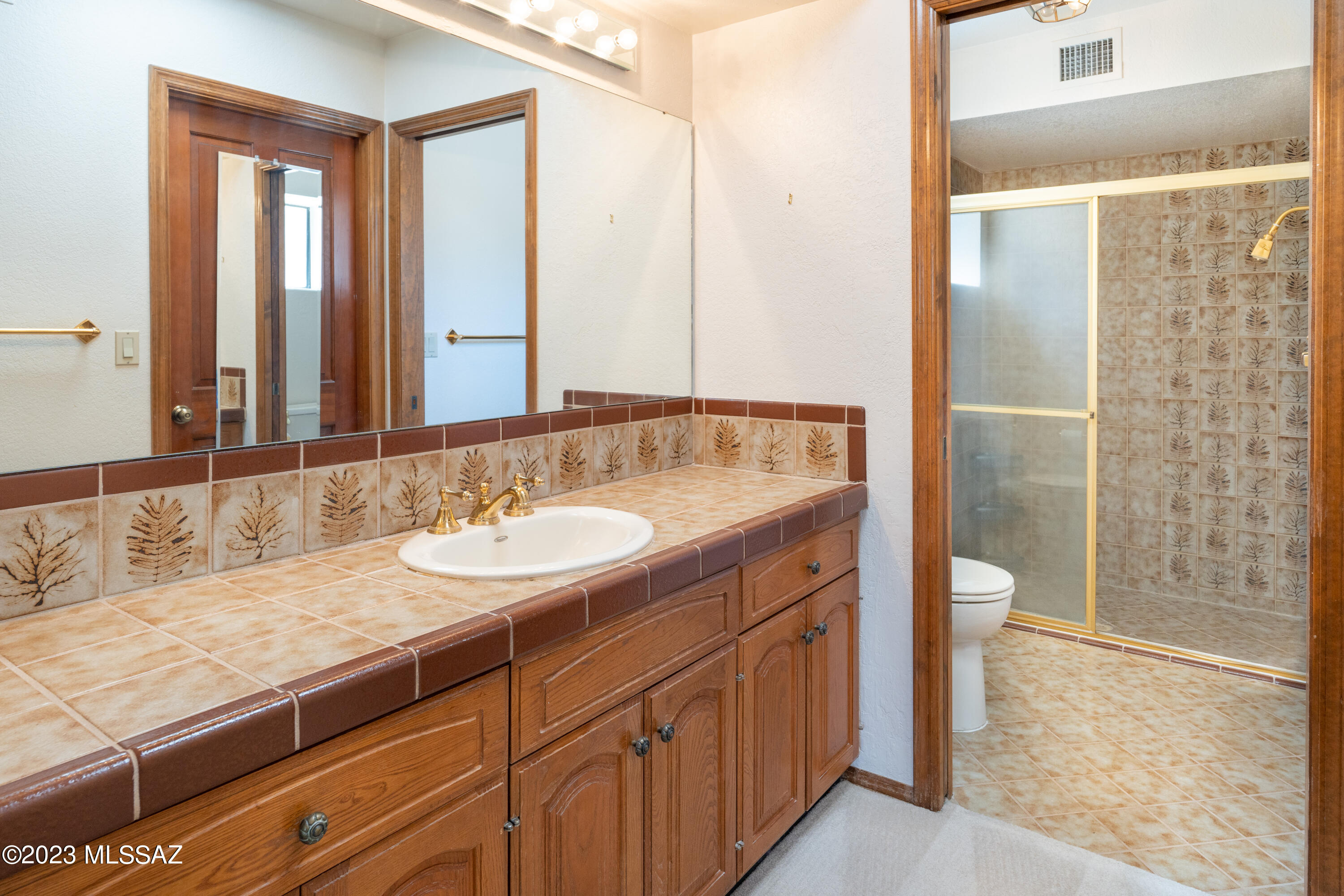 Sabino Vista Village (1-53) - Residential