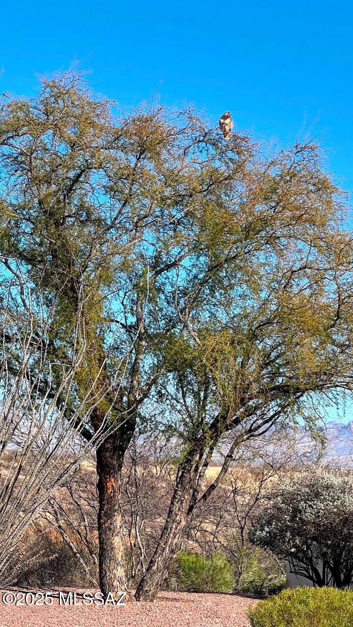 Madera Foothills Estates (1-25) - Residential