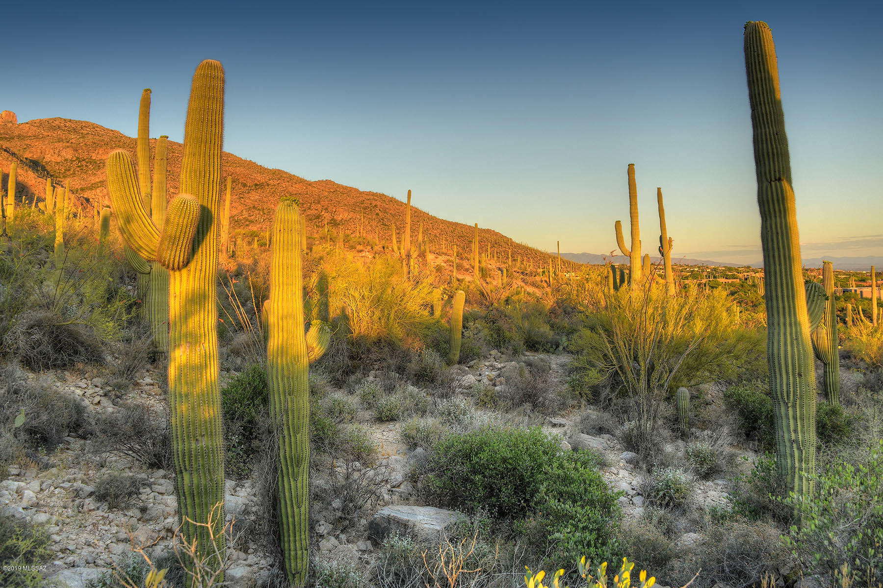 Pima Canyon Estates (30,33,96-102,115,124-127,136-139,147-151,16) - Land