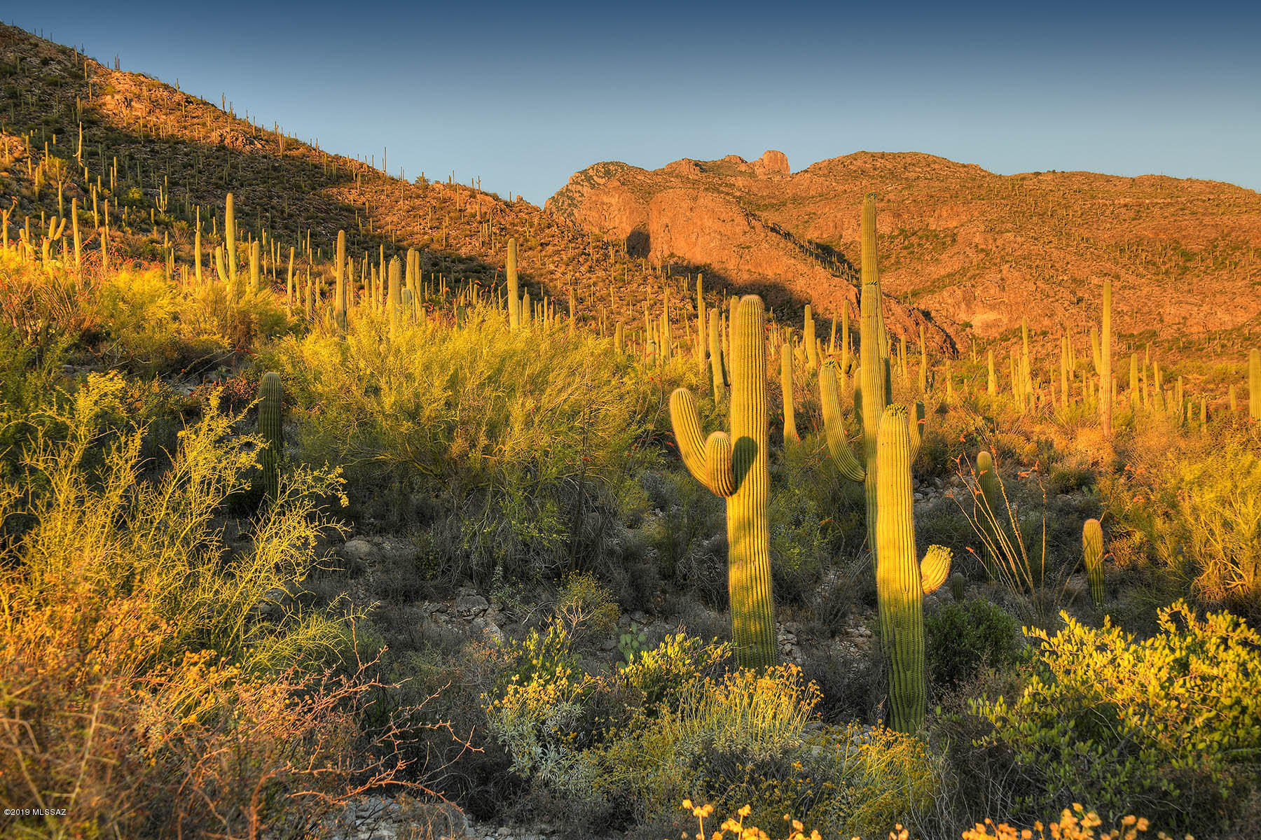 Pima Canyon Estates (30,33,96-102,115,124-127,136-139,147-151,16) - Land