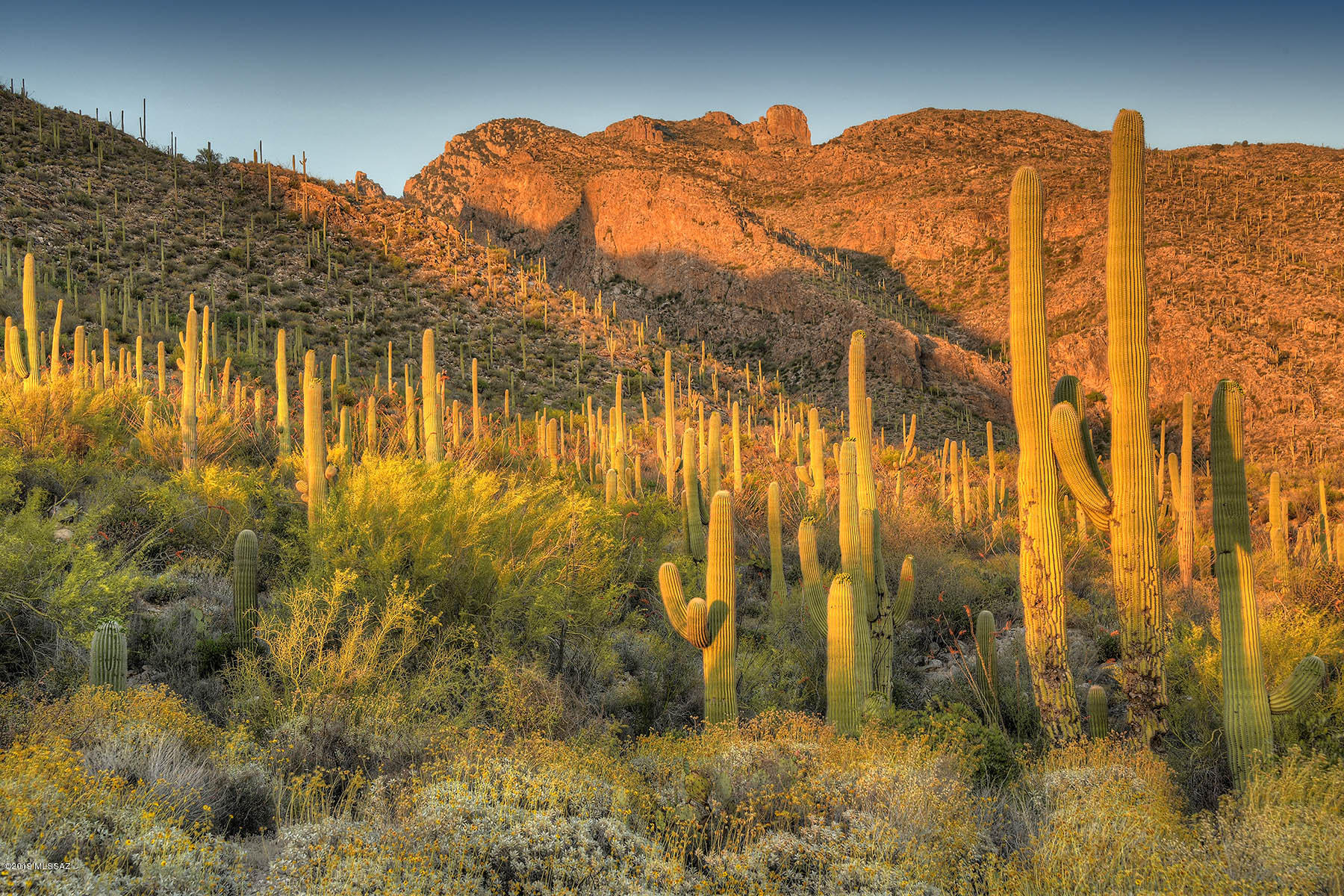 Pima Canyon Estates (30,33,96-102,115,124-127,136-139,147-151,16) - Land
