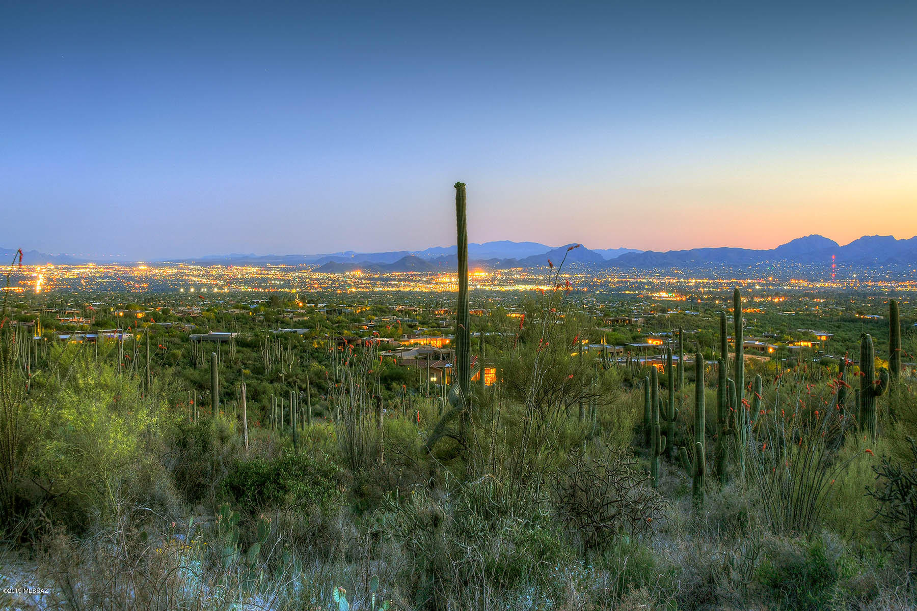 Pima Canyon Estates (30,33,96-102,115,124-127,136-139,147-151,16) - Land