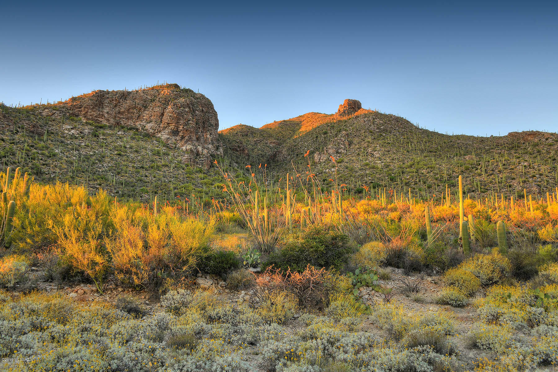 Pima Canyon Estates (30,33,96-102,115,124-127,136-139,147-151,16) - Land