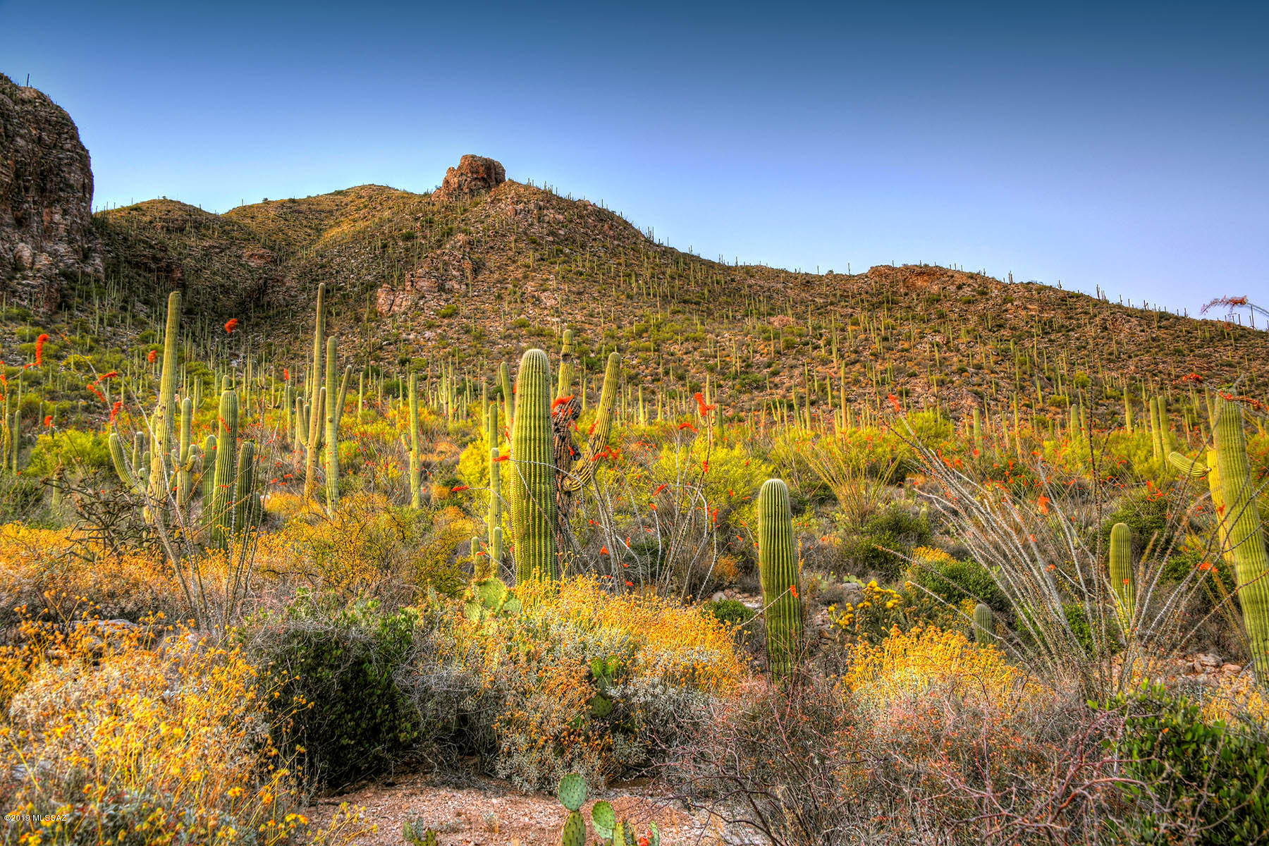 Pima Canyon Estates (30,33,96-102,115,124-127,136-139,147-151,16) - Land