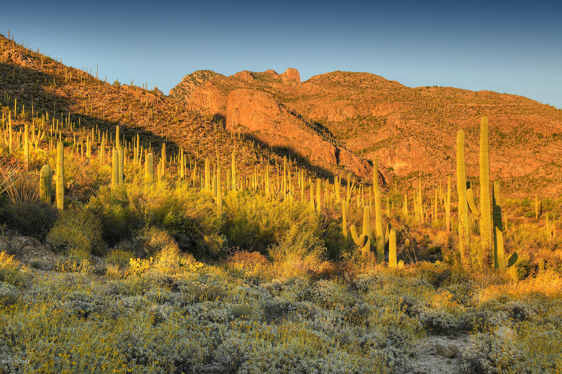 Pima Canyon Estates (30,33,96-102,115,124-127,136-139,147-151,16) - Land