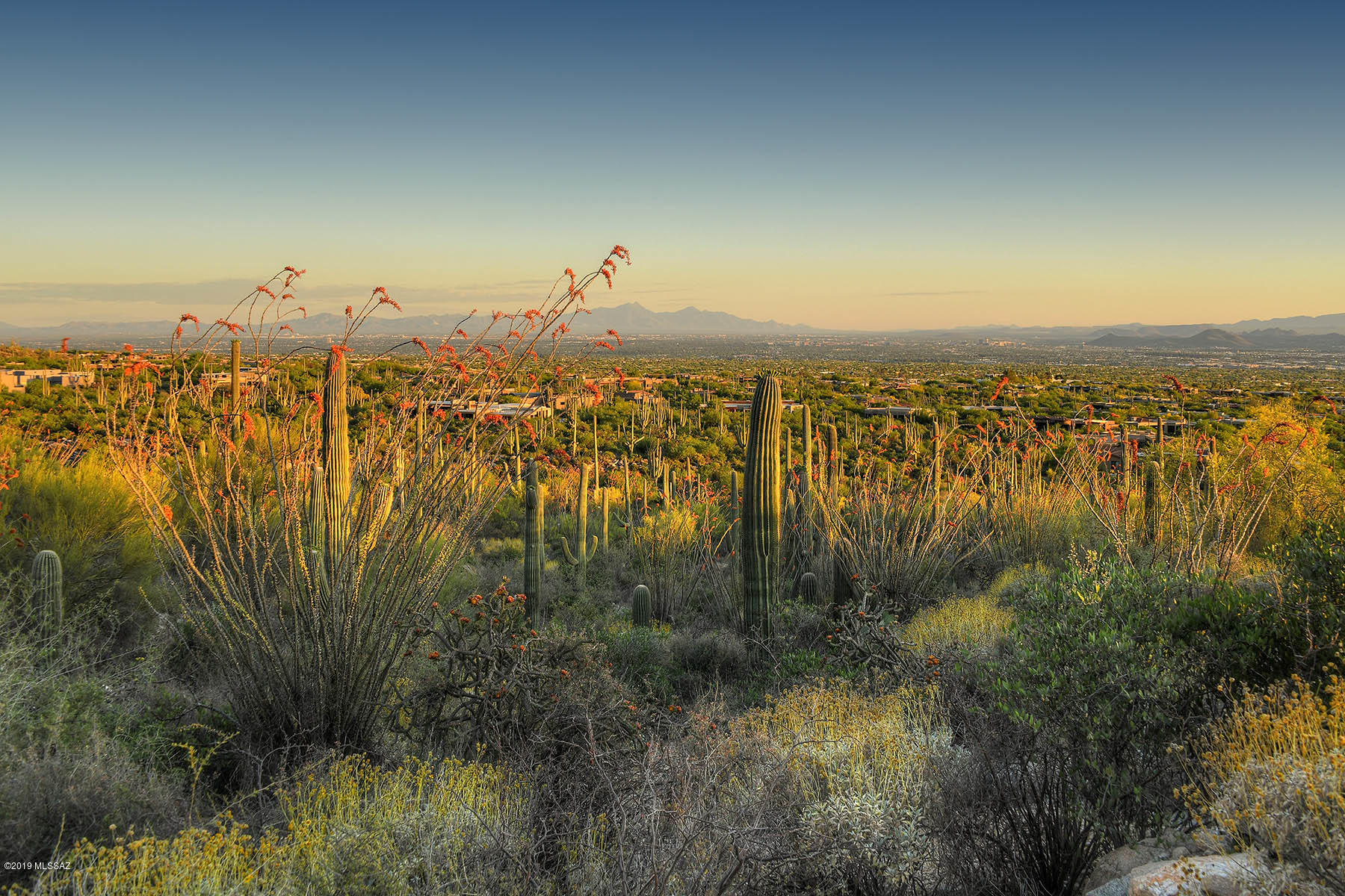 Pima Canyon Estates (30,33,96-102,115,124-127,136-139,147-151,16) - Land