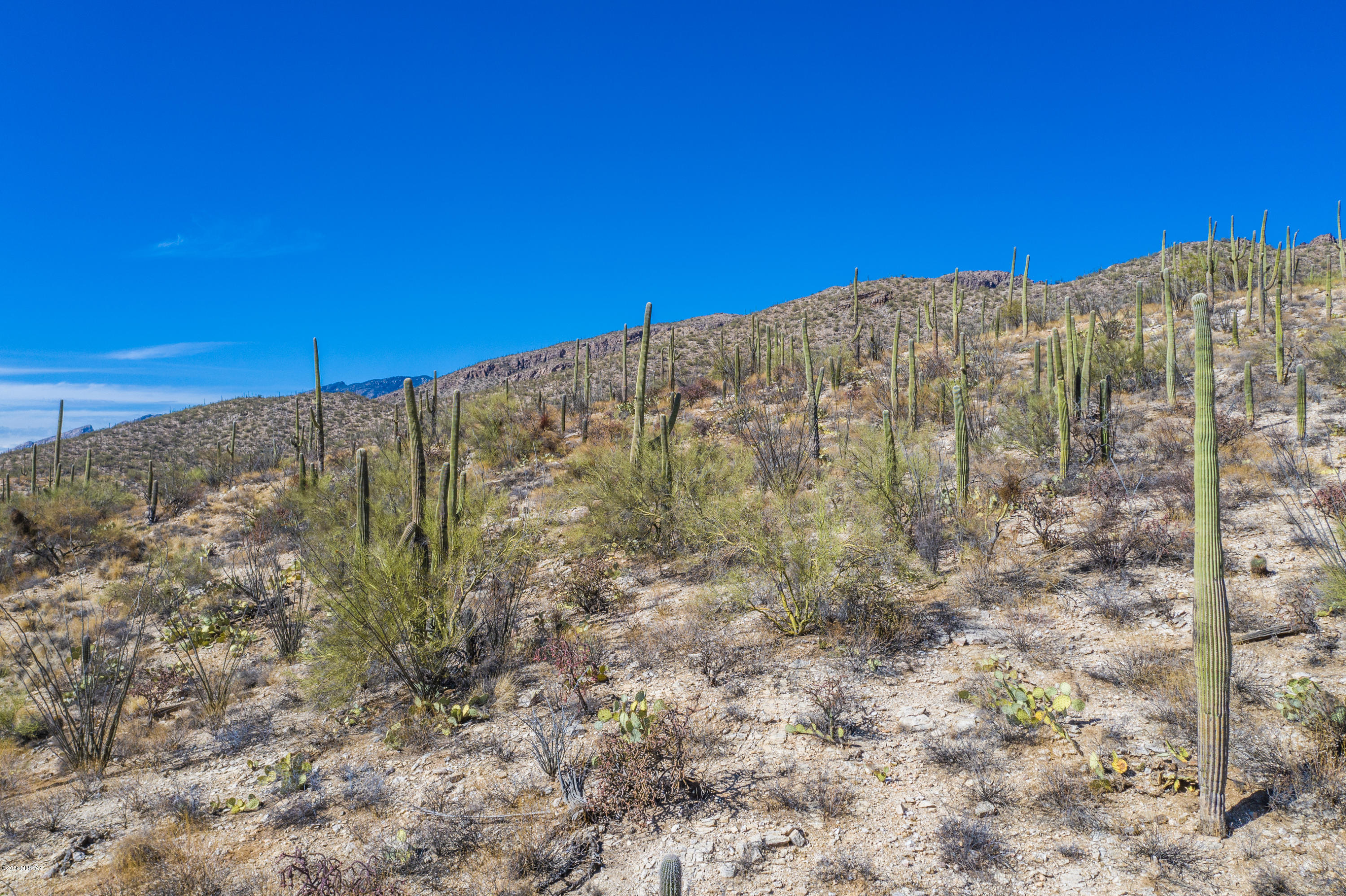 Sabino Canyon Estates - Land