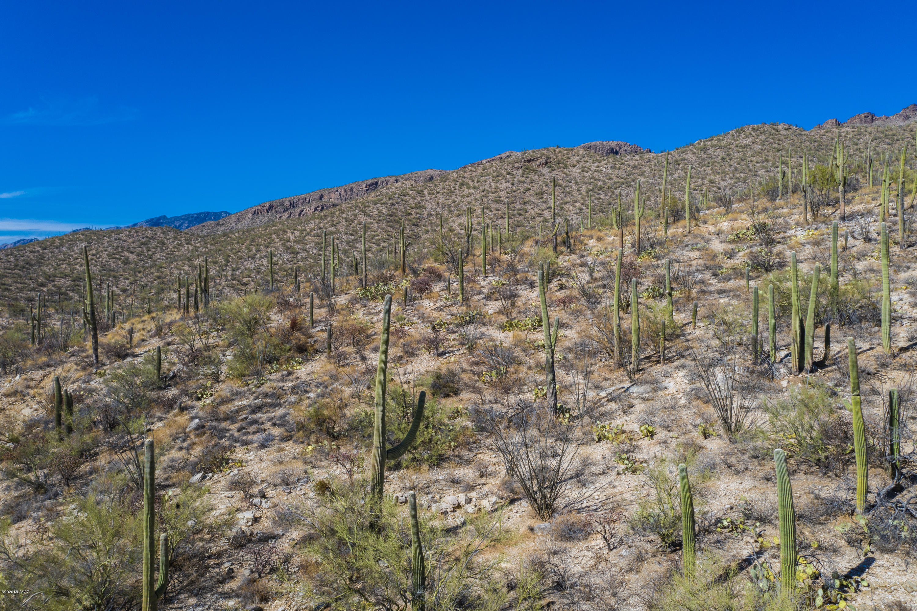 Sabino Canyon Estates - Land