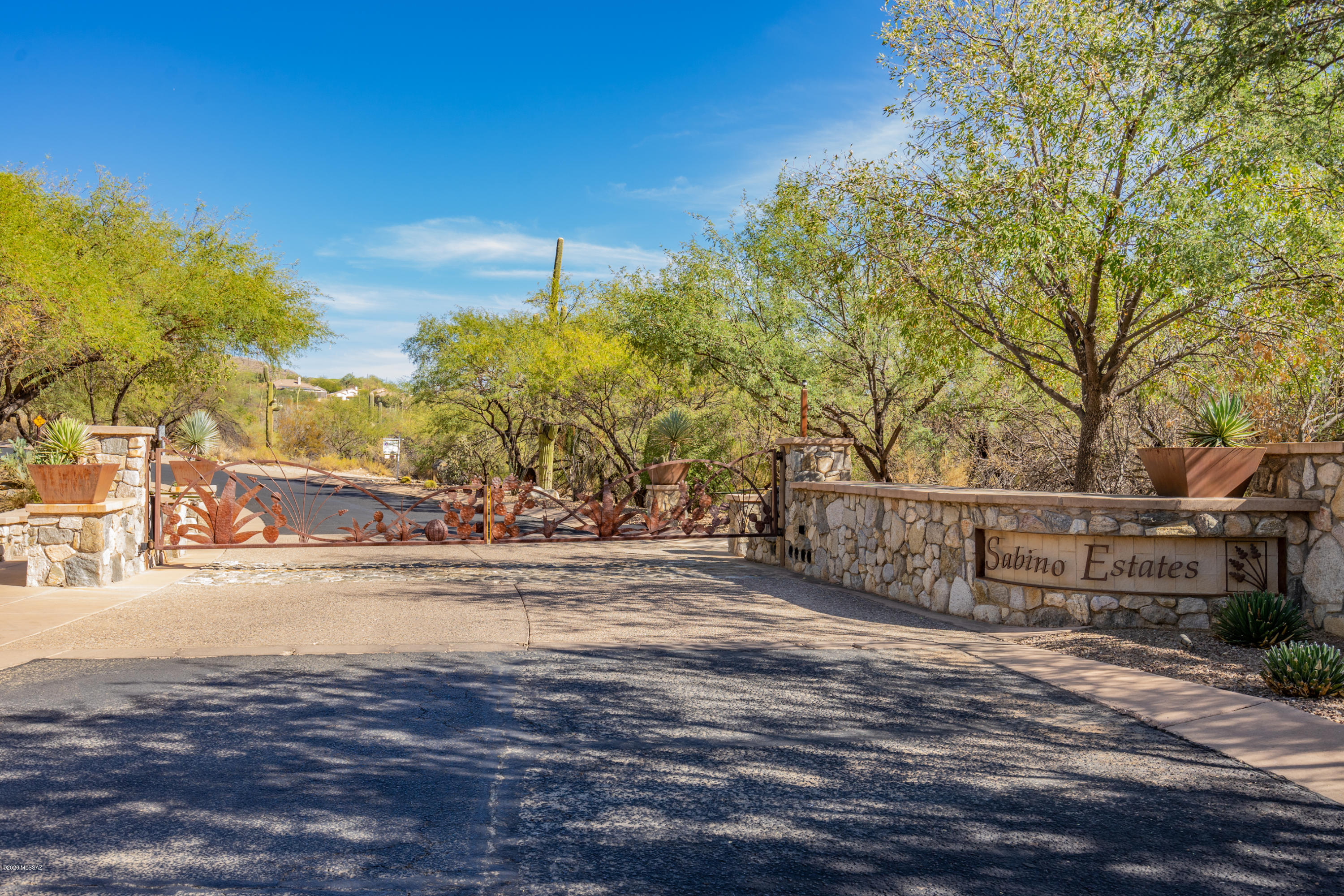 Sabino Canyon Estates - Land