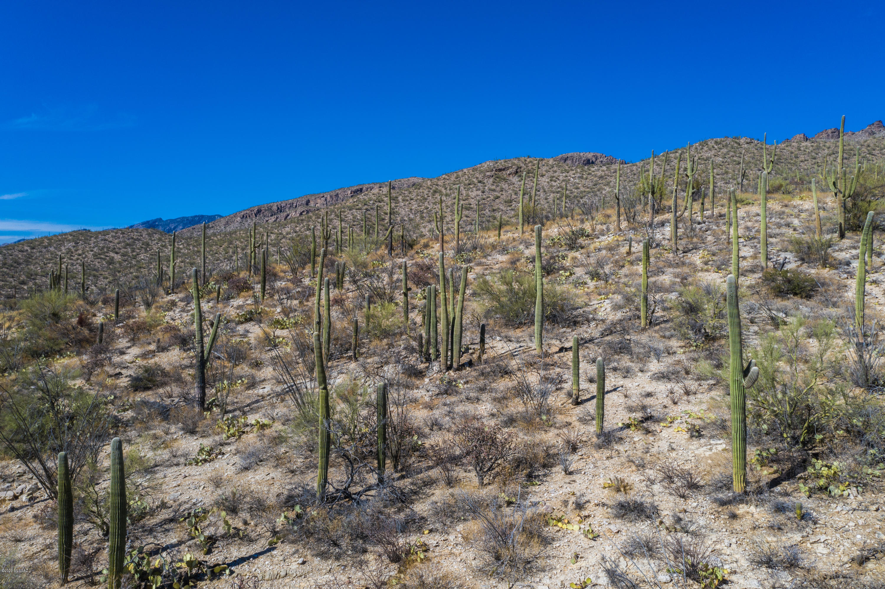 Sabino Canyon Estates - Land