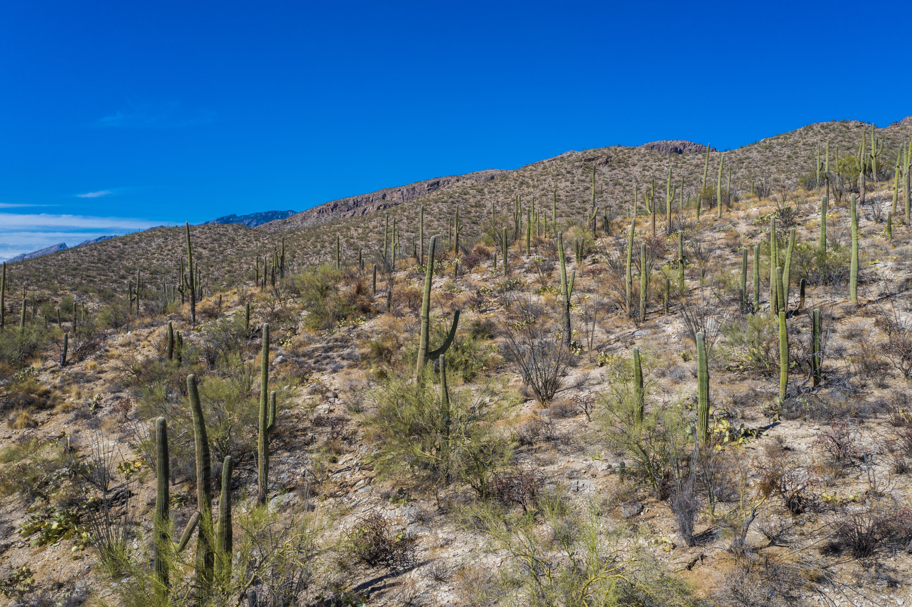 Sabino Canyon Estates - Land