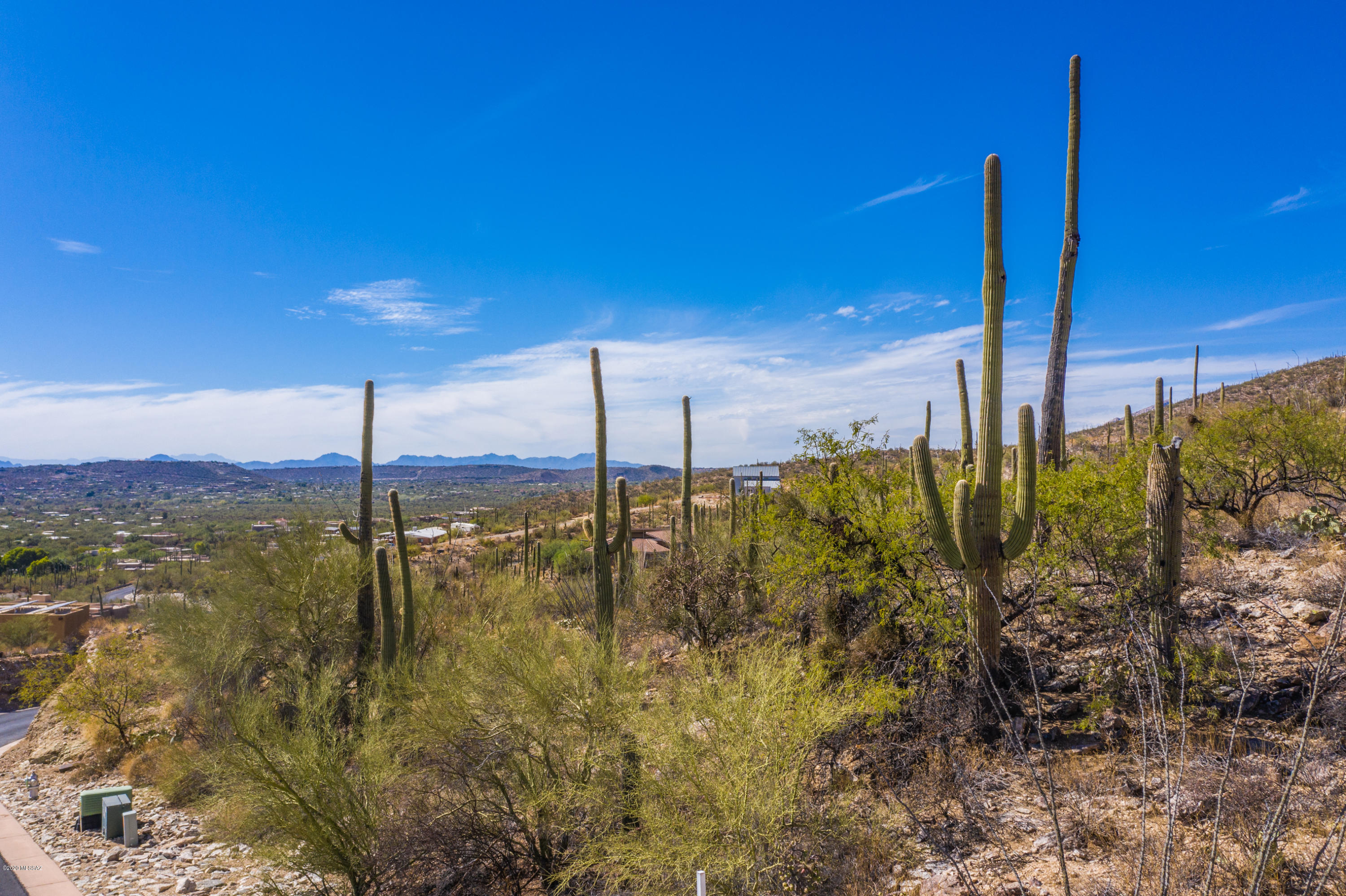 Sabino Canyon Estates - Land