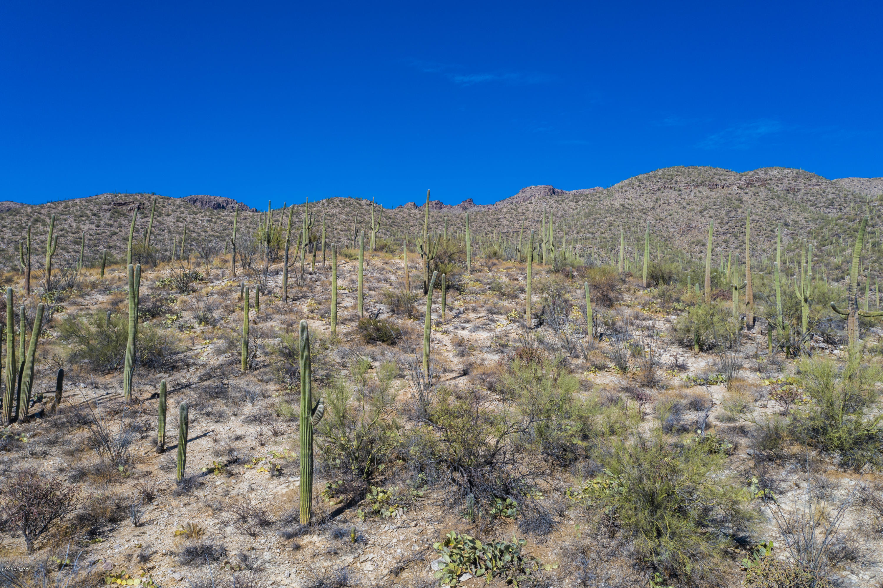Sabino Canyon Estates - Land