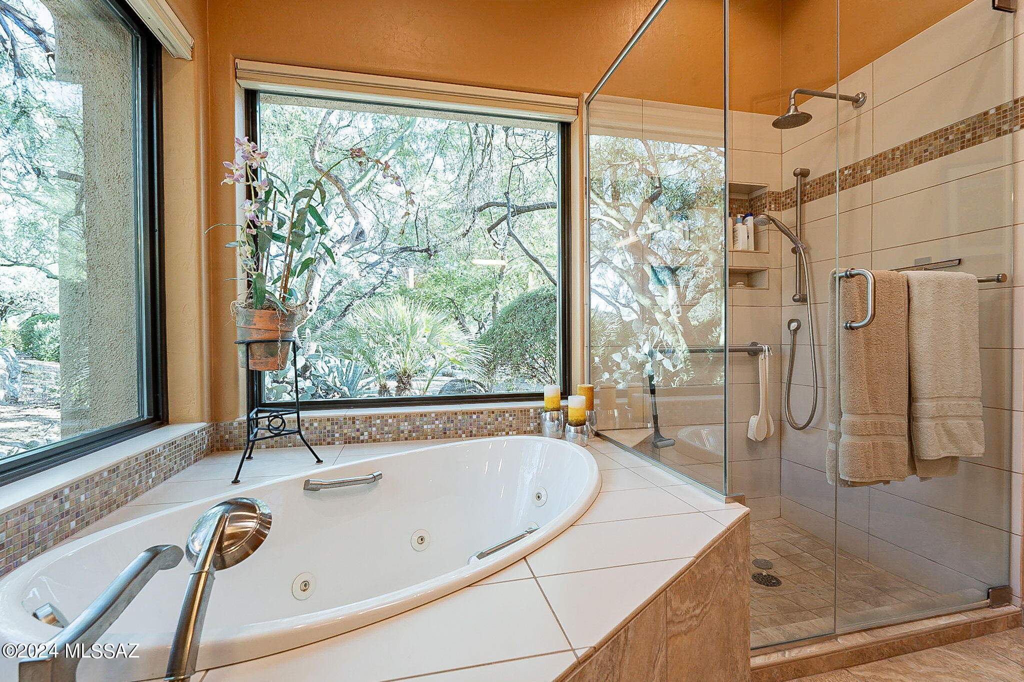 Ventana Canyon Estates (1-63) - Residential