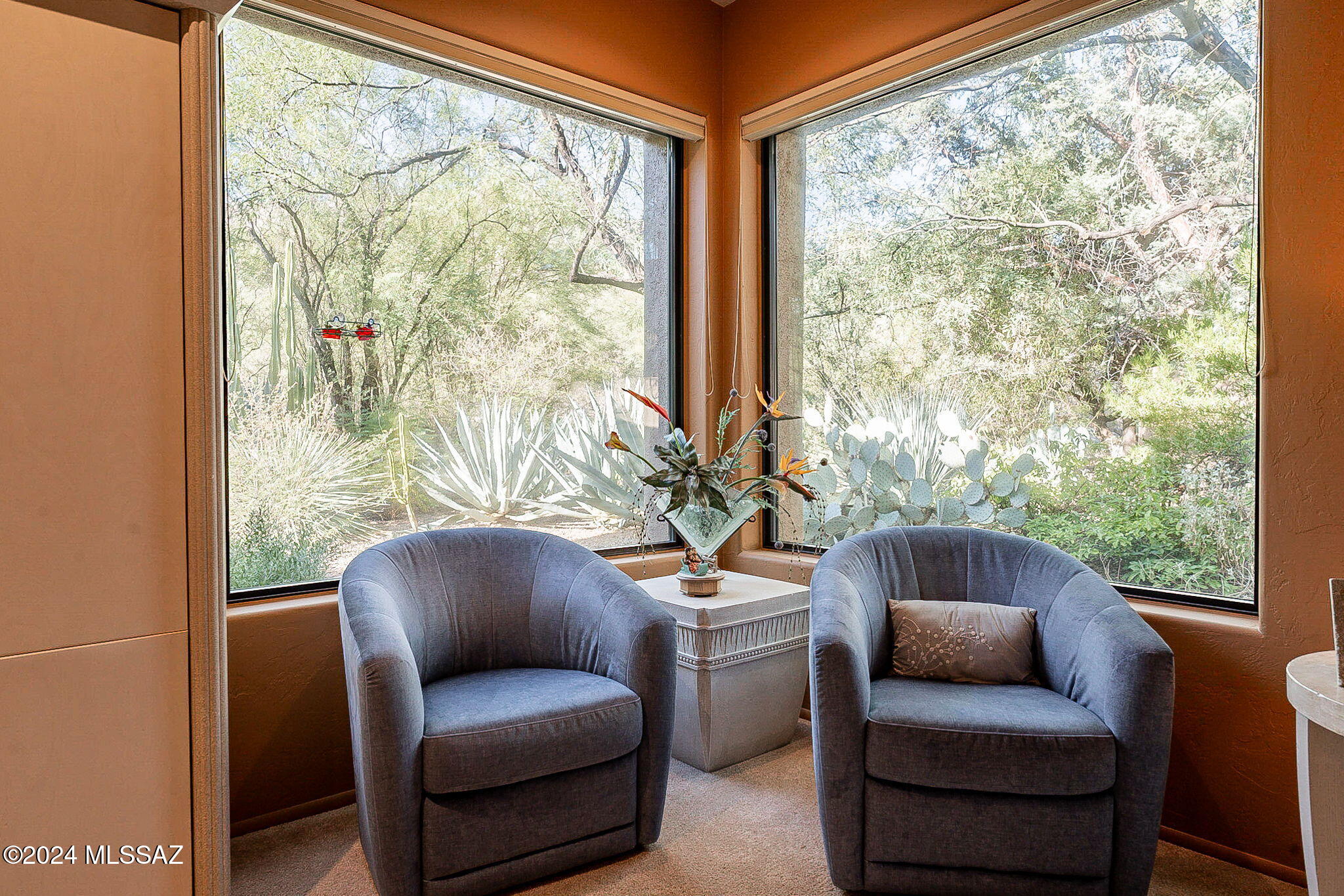 Ventana Canyon Estates (1-63) - Residential
