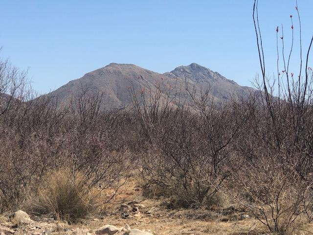 Tubac Foothills Ranch - Land