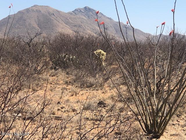 Tubac Foothills Ranch - Land