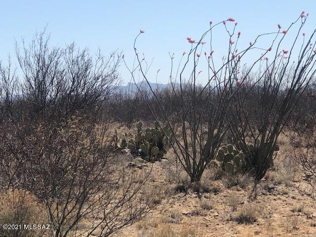 Tubac Foothills Ranch - Land