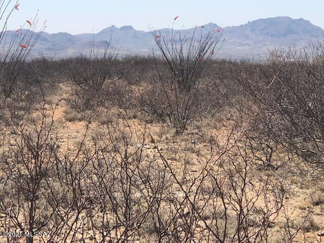 Tubac Foothills Ranch - Land