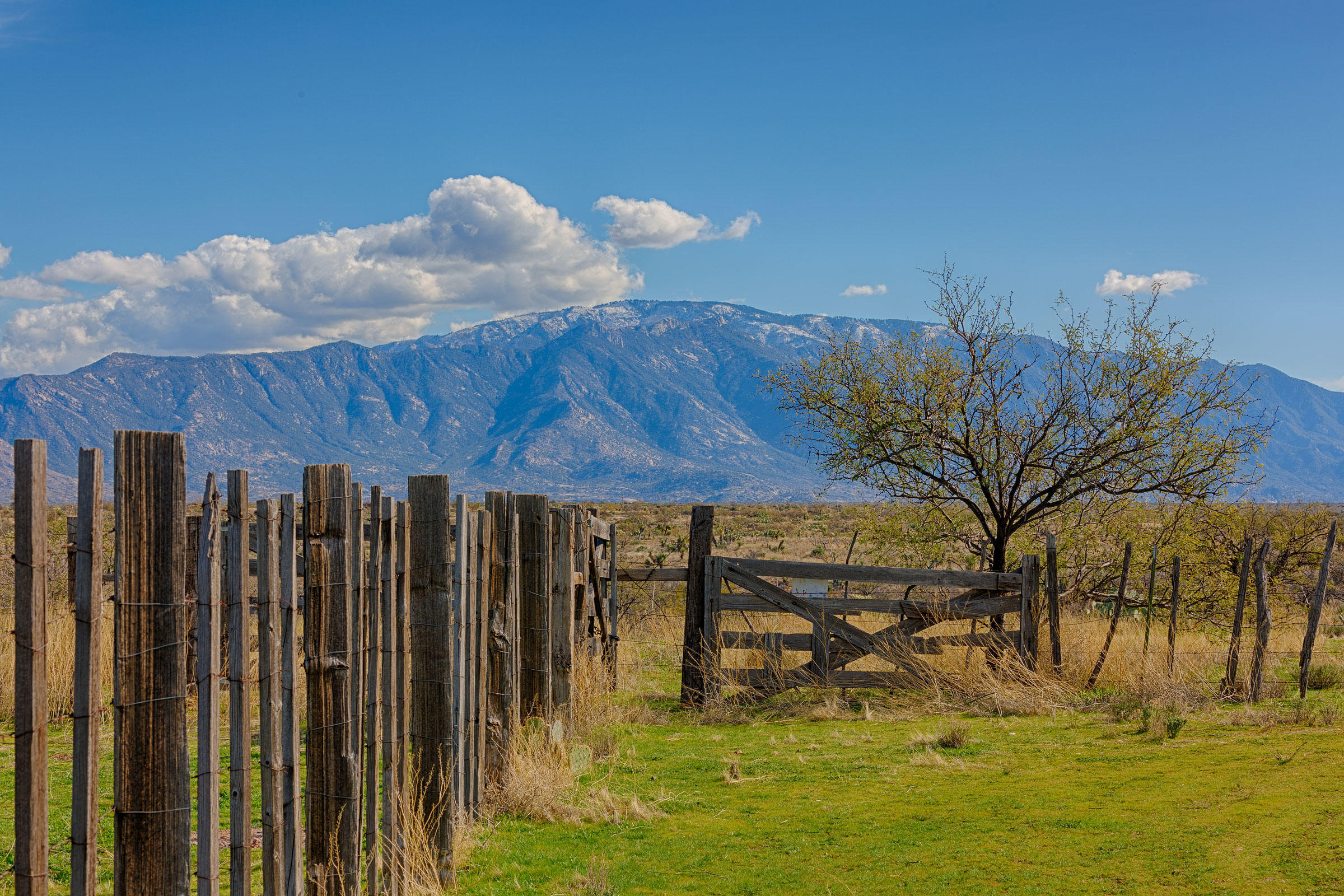Saddlebrooke Ranch - Residential