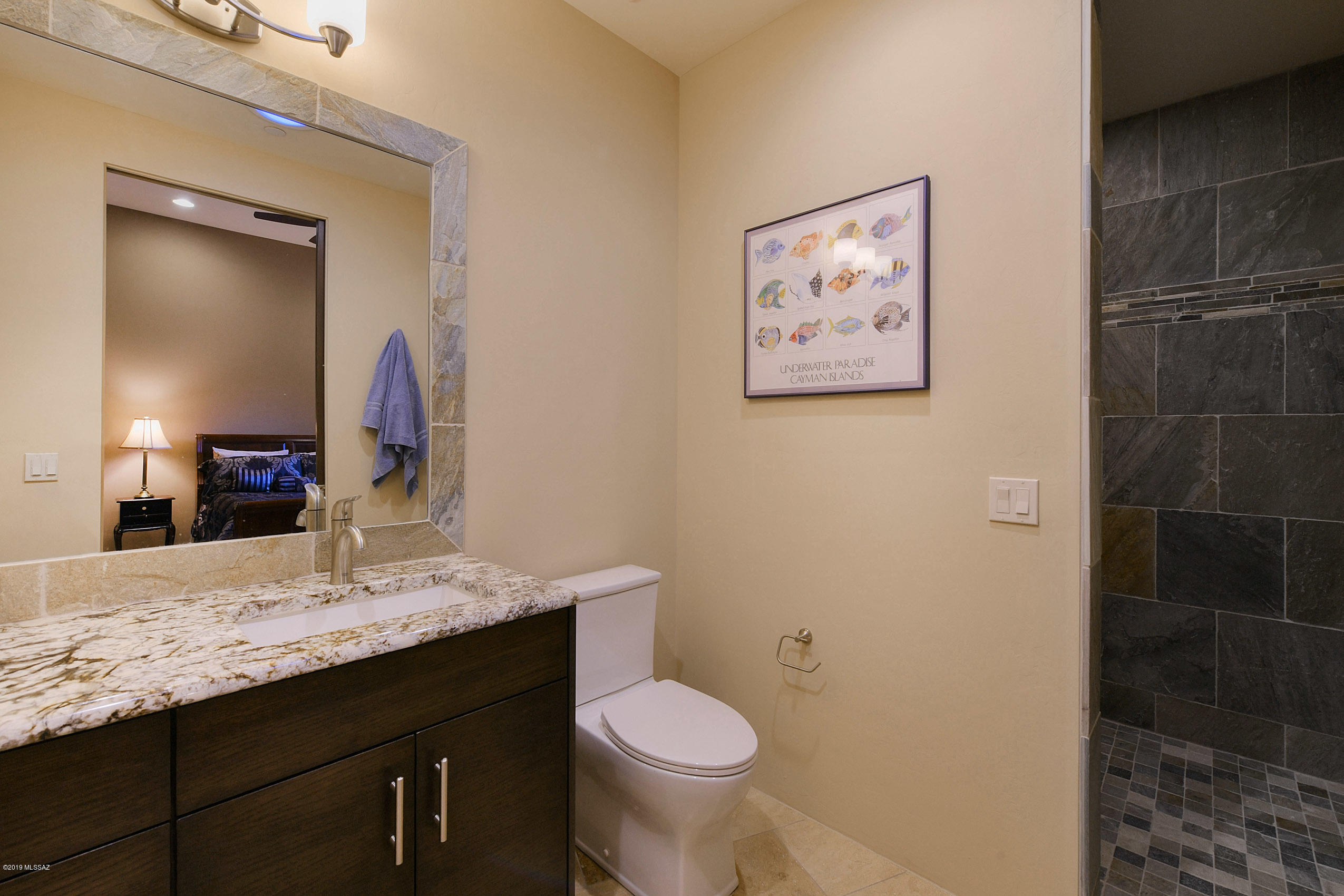 Canyon Pass At Dove Mountain - Residential