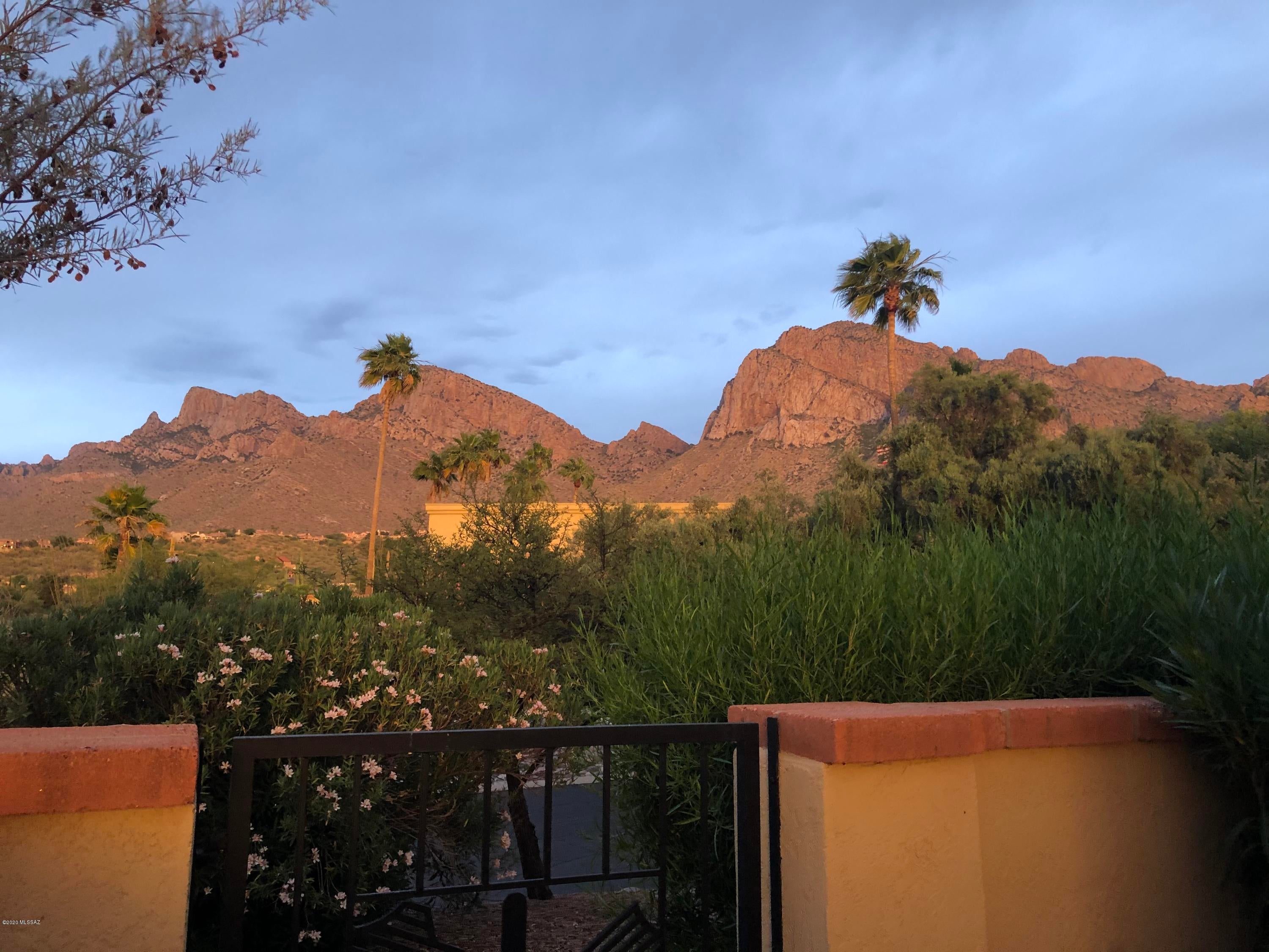 El Conquistador Resort Patio Homes (155-193) - Residential Lease