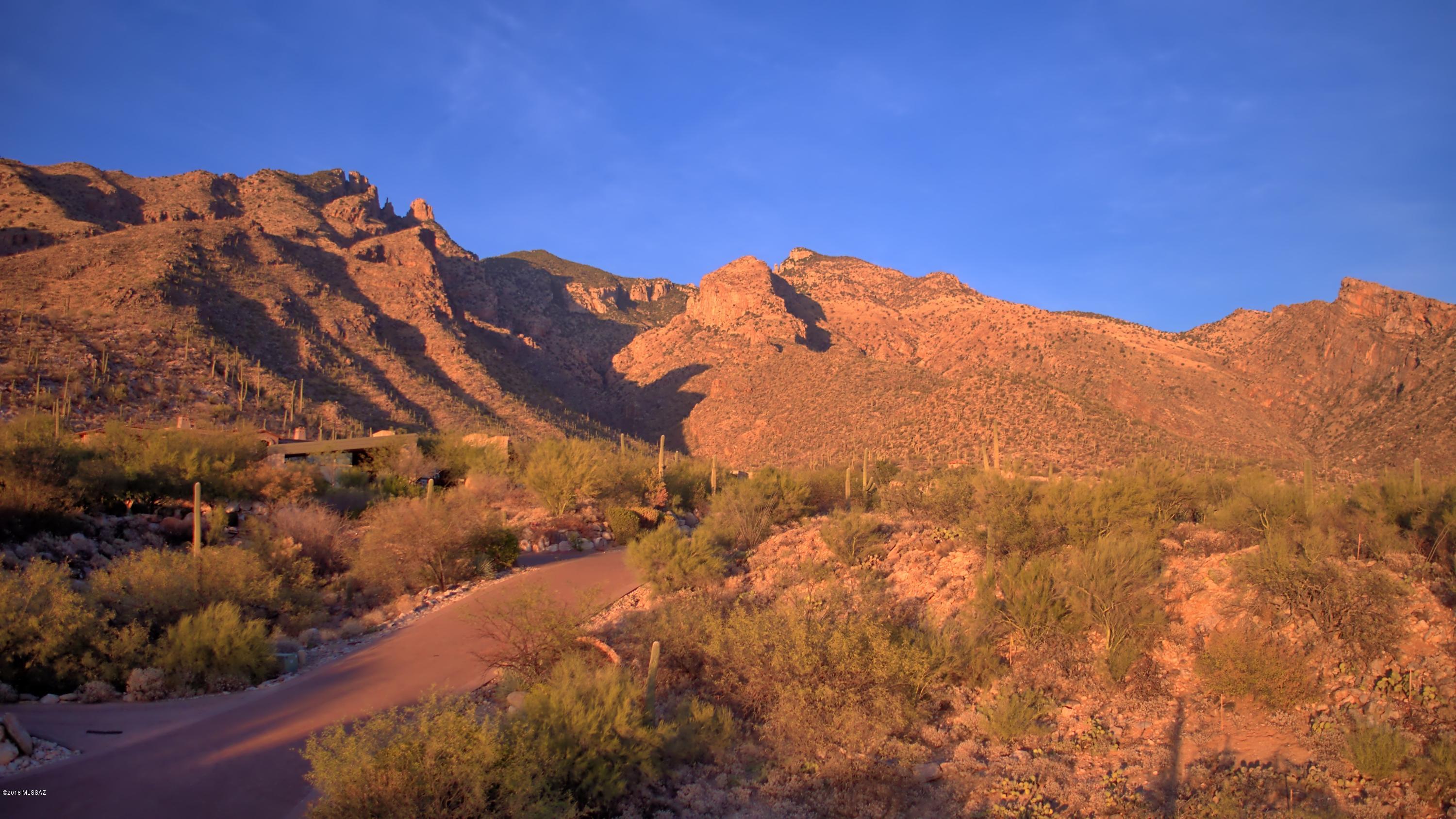 Canyons (The) - Land