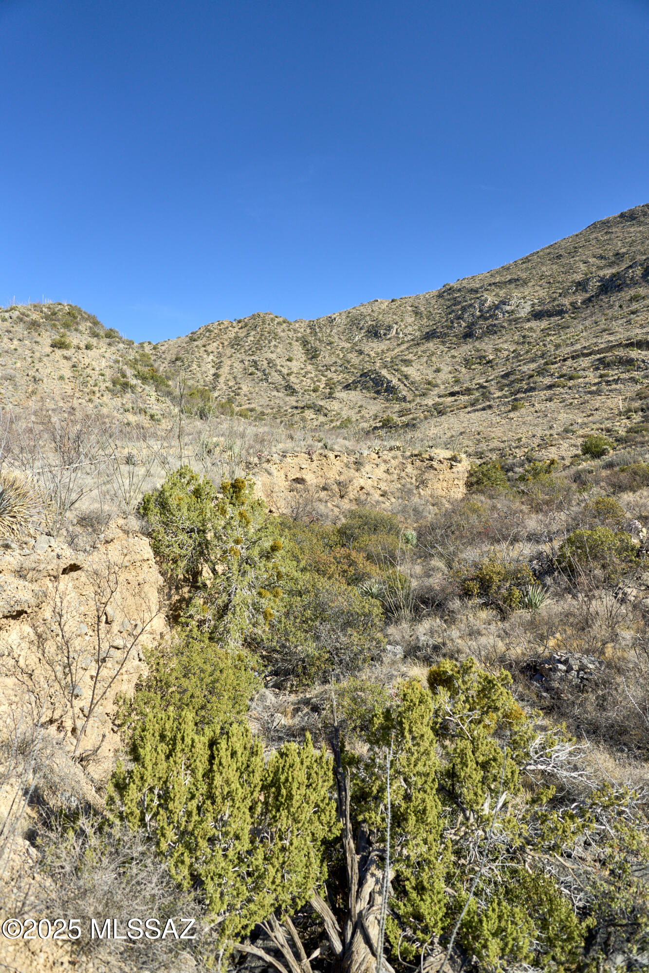 Out Of Pima County - Land