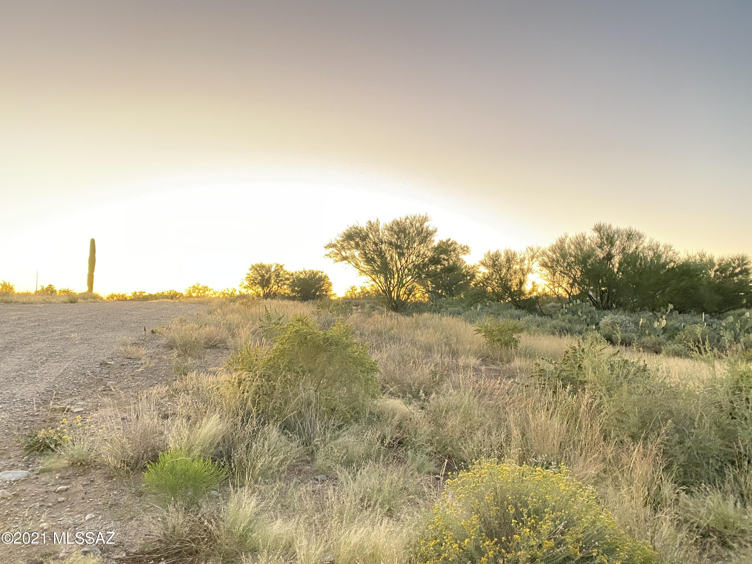 Coyote Ridge (1-109) - Land