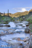 Sonoran Preserve - Residential