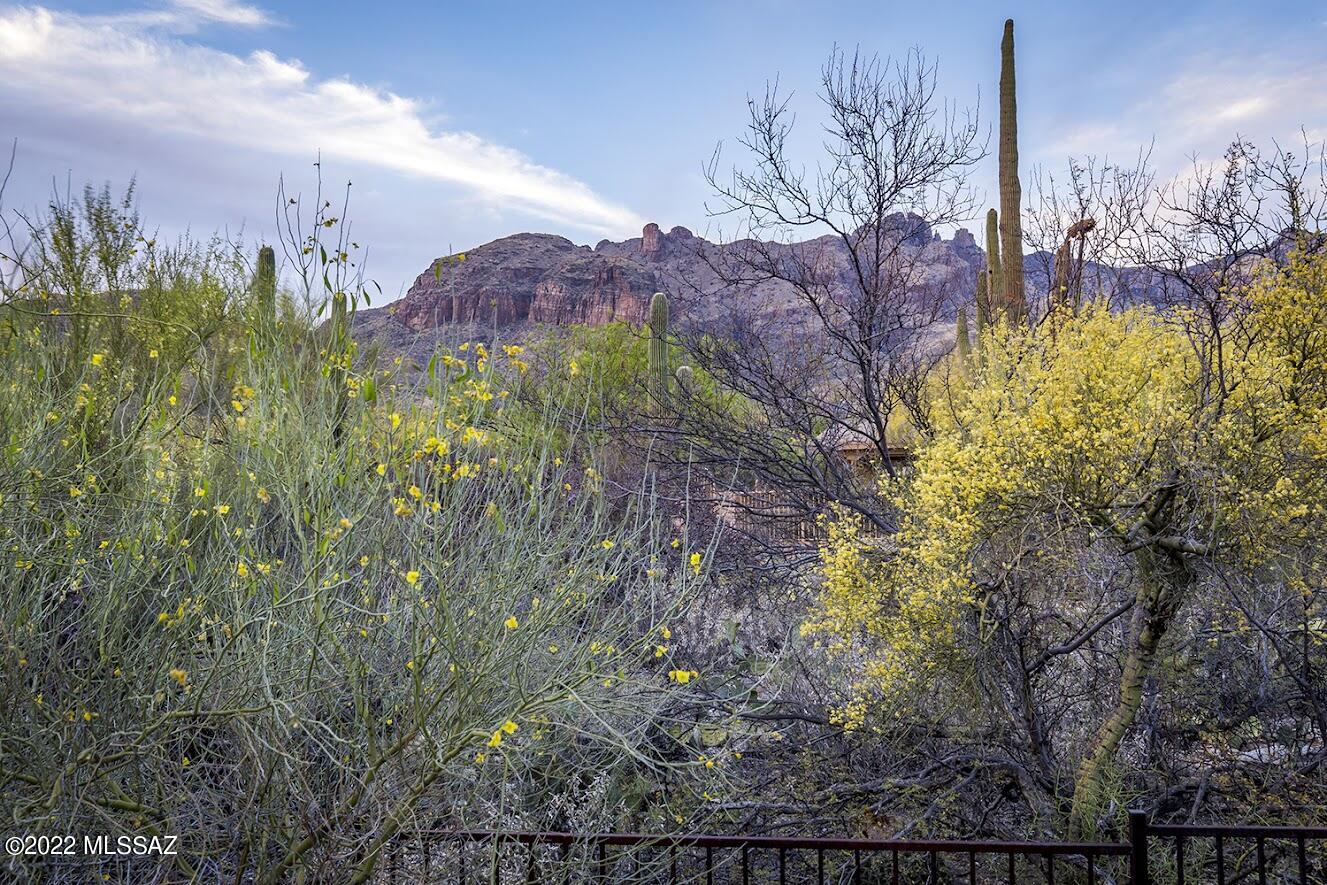 The Foothills (48-140) - Residential