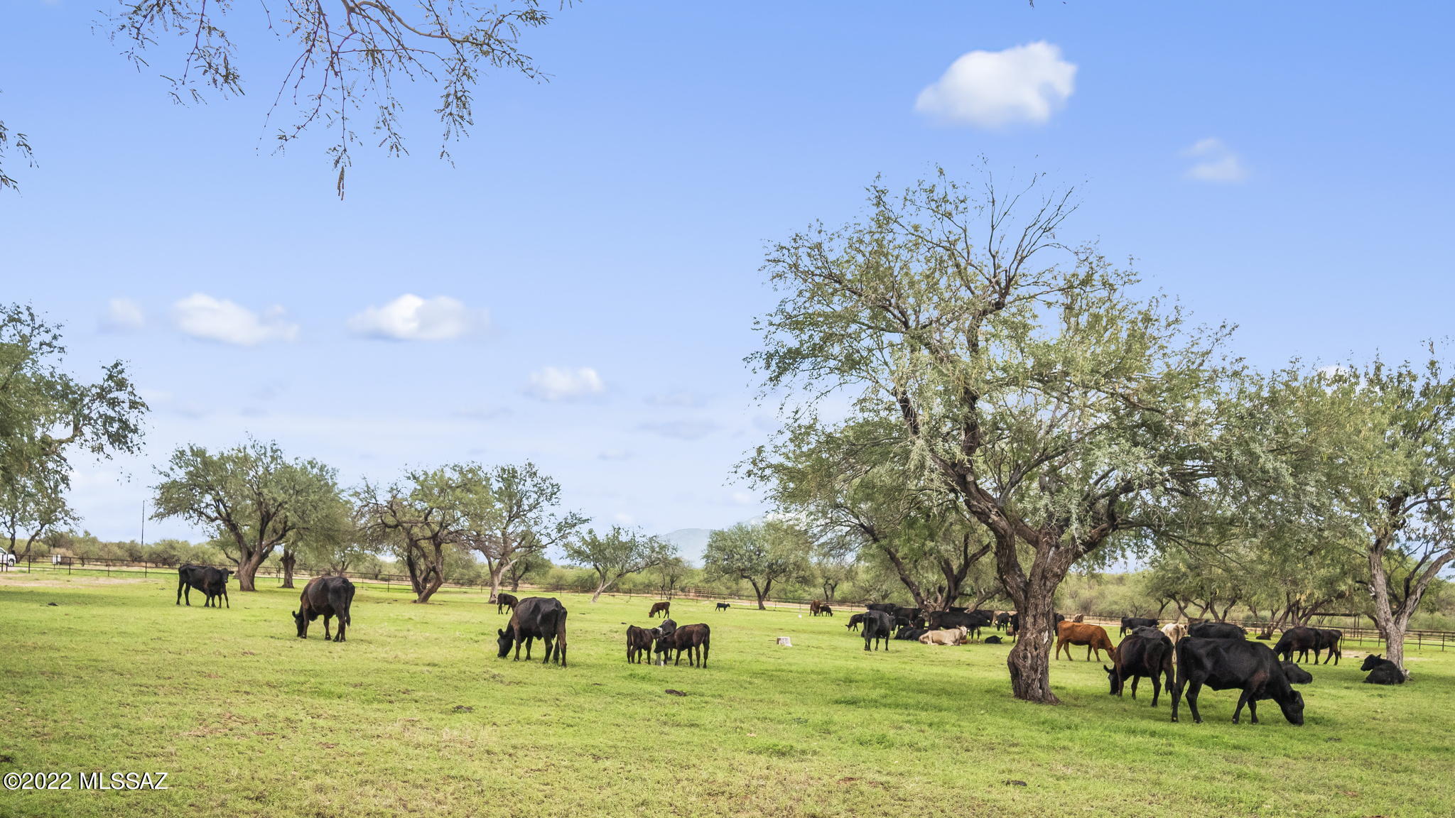 Other/Unknown - Residential