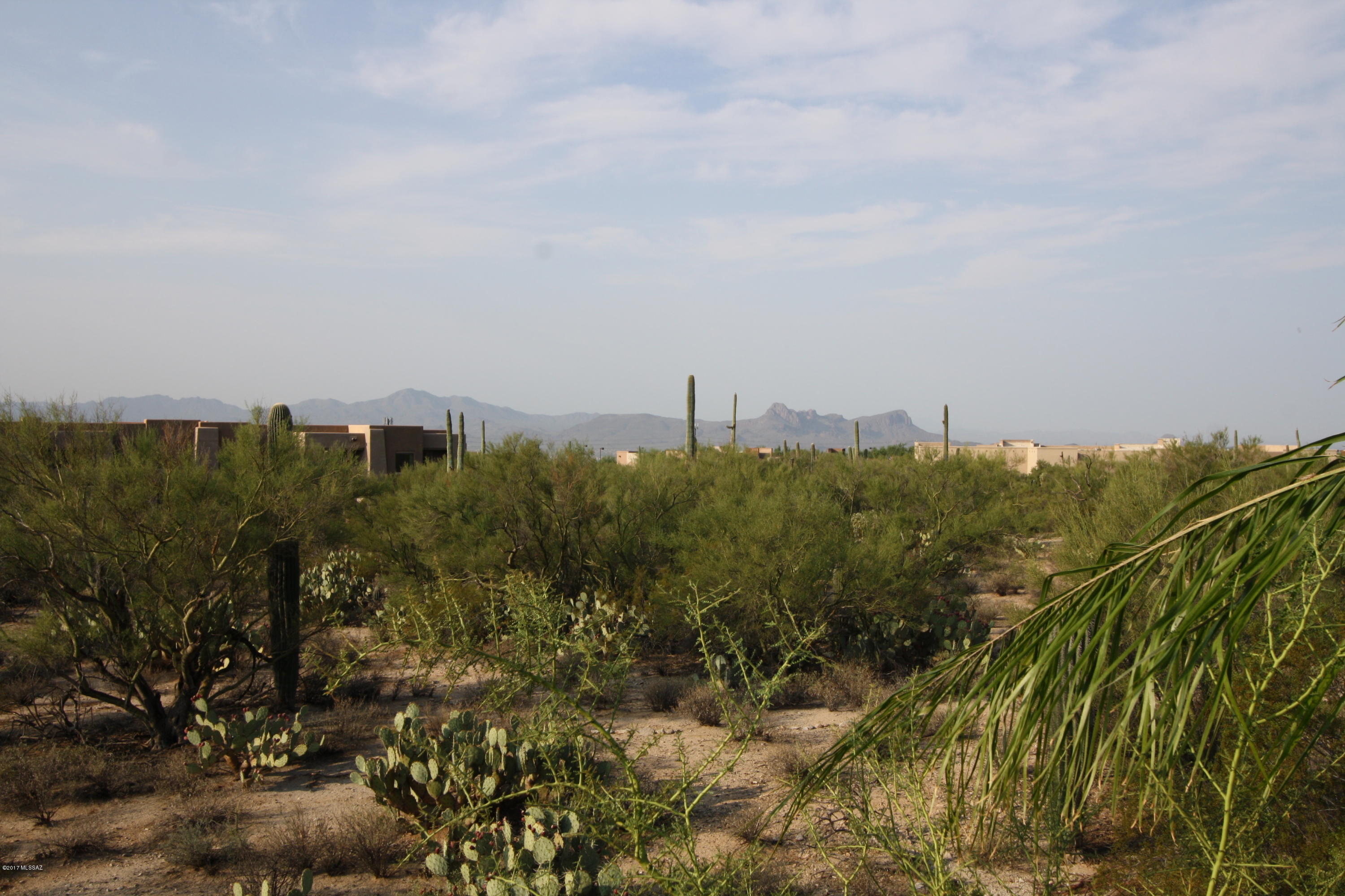 Preserve at Dove Mountain (1-182) - Residential Lease