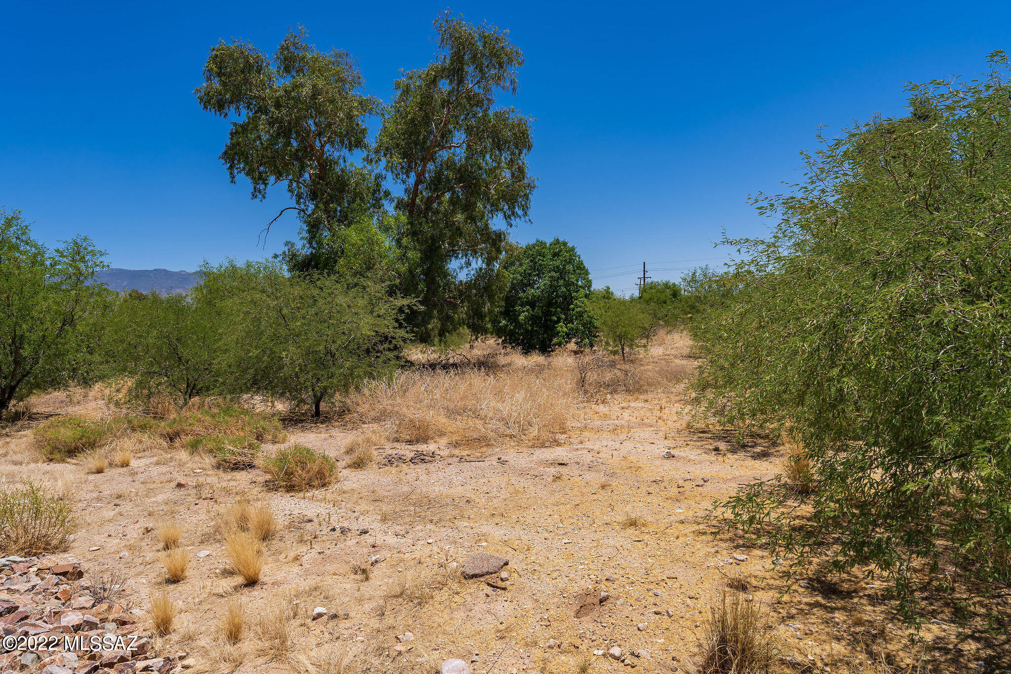 Desert Willow Ranch 1-51 - Residential
