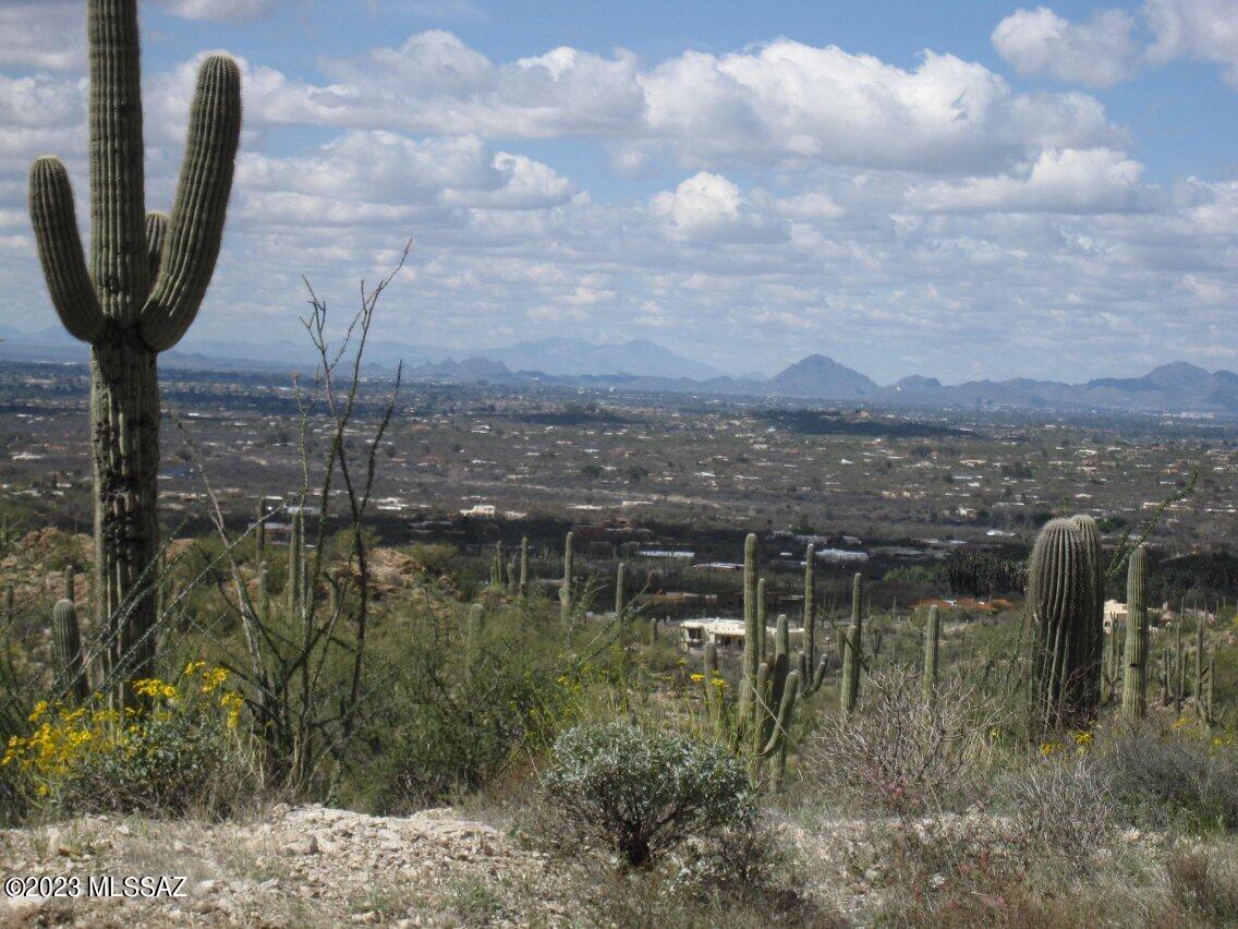 Spectacular, one of a kind 47.95 ac. site located high on Agua Caliente Hill between the east end of the Catalina Mountains and the north end of the Rincon Mountains. This property is bounded on the east by National Forest land, on the North by Agua Caliente Estates Natural Area managed by the Forest Service and on the west and south by rock cliffs and outcrops producing a perfectly protected site for a Medieval Castle or your Dream Home.  If there ever was a must see property this is it! Electric, Telephone, Natural Gas and City Water available.