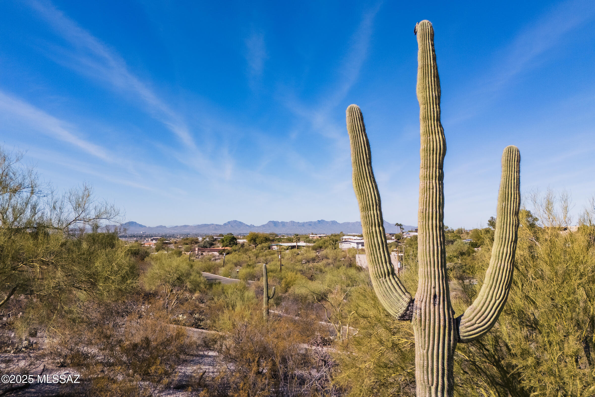 Flecha Caida Ranch Estates #6 - Residential