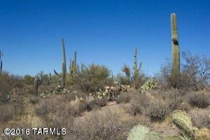 Ever Dream about having incredible mountain views on a Saguaro Studded 1 acre lot? Well here is your chance to BUILD YOUR DREAM HOME! These lots are ready to build on. Paved road is in, well water and electric are at the lot lines. Custom homes in the area, How can you pass this up? Build your own custom home or use land to build a spec home.This lot can be purchased in a package sale (6 lots) purchase price of $380,000 includes ownership of well with a $5000 hook-up fee.216-23-087A 216-23-080A 216-23-088A,216-23-070V, and 216-23-070F.
