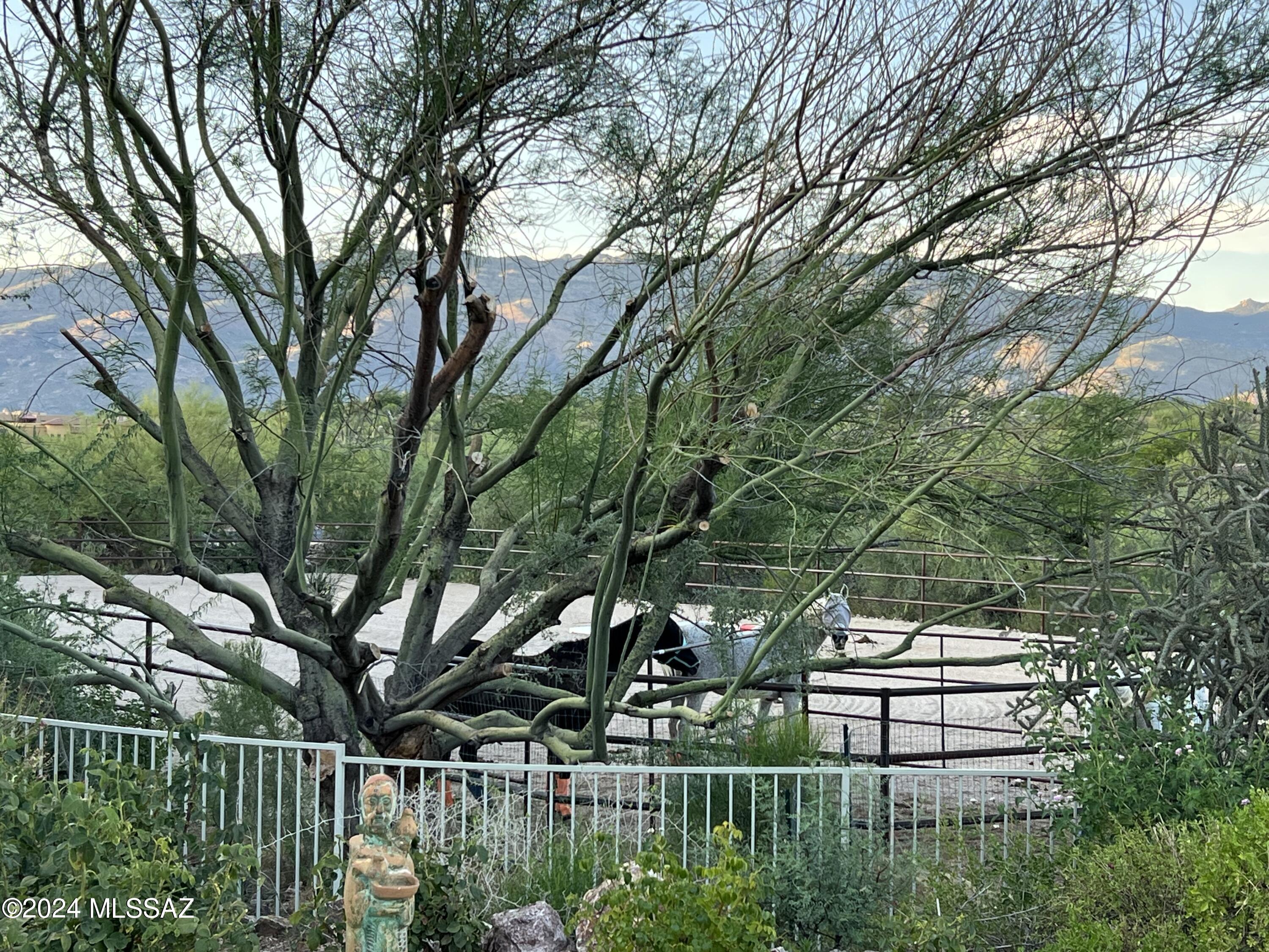 Coyote Creek (1-395) - Residential