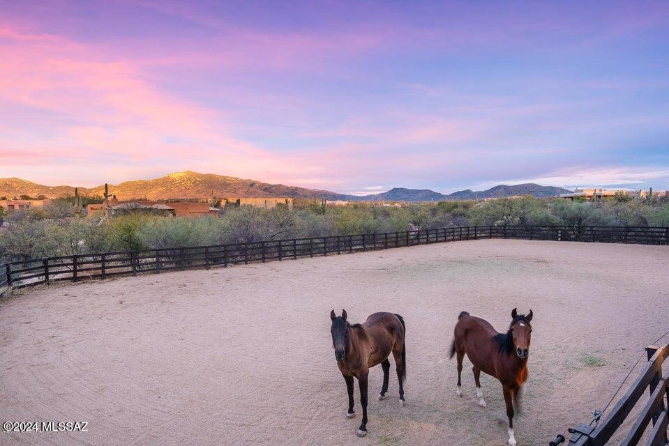 Custom Luxury horse property in Coyote Creek.Amazing Rincon Mountain views. Ride off the property to hundreds of miles of trails plus access to the Arizona Trail.Take a sky-high view of the entire 800-mile Arizona Trail as it runs from the Mexico to Utah borders. But you can also dive into all aspects of the trail with a tabbed interactive map to learn about the trail, its passages, mountain bike routes, Gateway Communities, water sources, photos from all over the trail, Arizona Trail Association. 40x60 horse facilitie on the property. Arena, pool/spa. Also equestrian facilities in Coyote Creek.