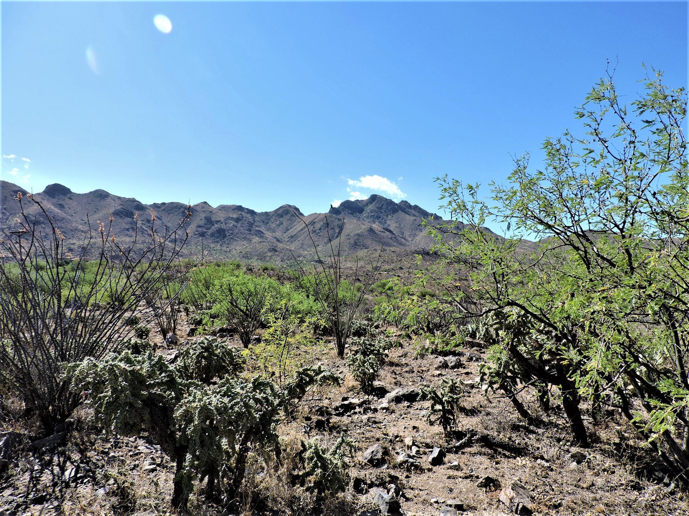 Incredible view lot high up on the east side of Rio Rico with mountain and valley views. Great area, close to freeway and only .12 miles from Camino Mar which is a paved road all the way to Pendleton. Electricity and water are in the street. Build on this 1.22 acre parcel and enjoy the sunrises/sunsets and abundant wildlife!