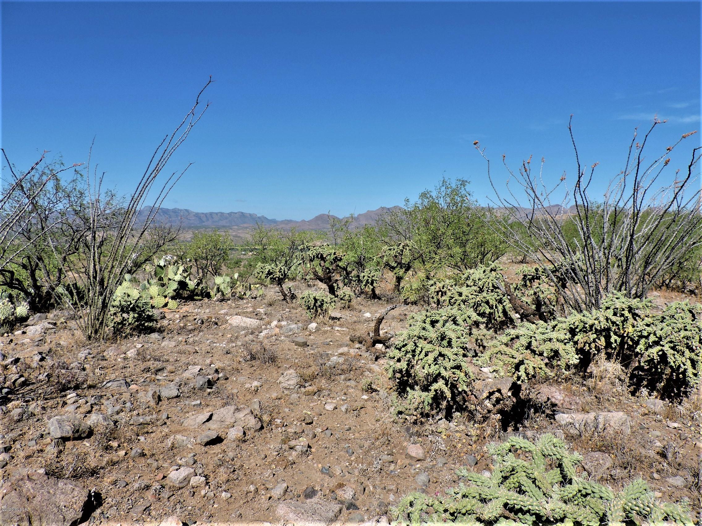 Rio Rico Ranchettes - Land