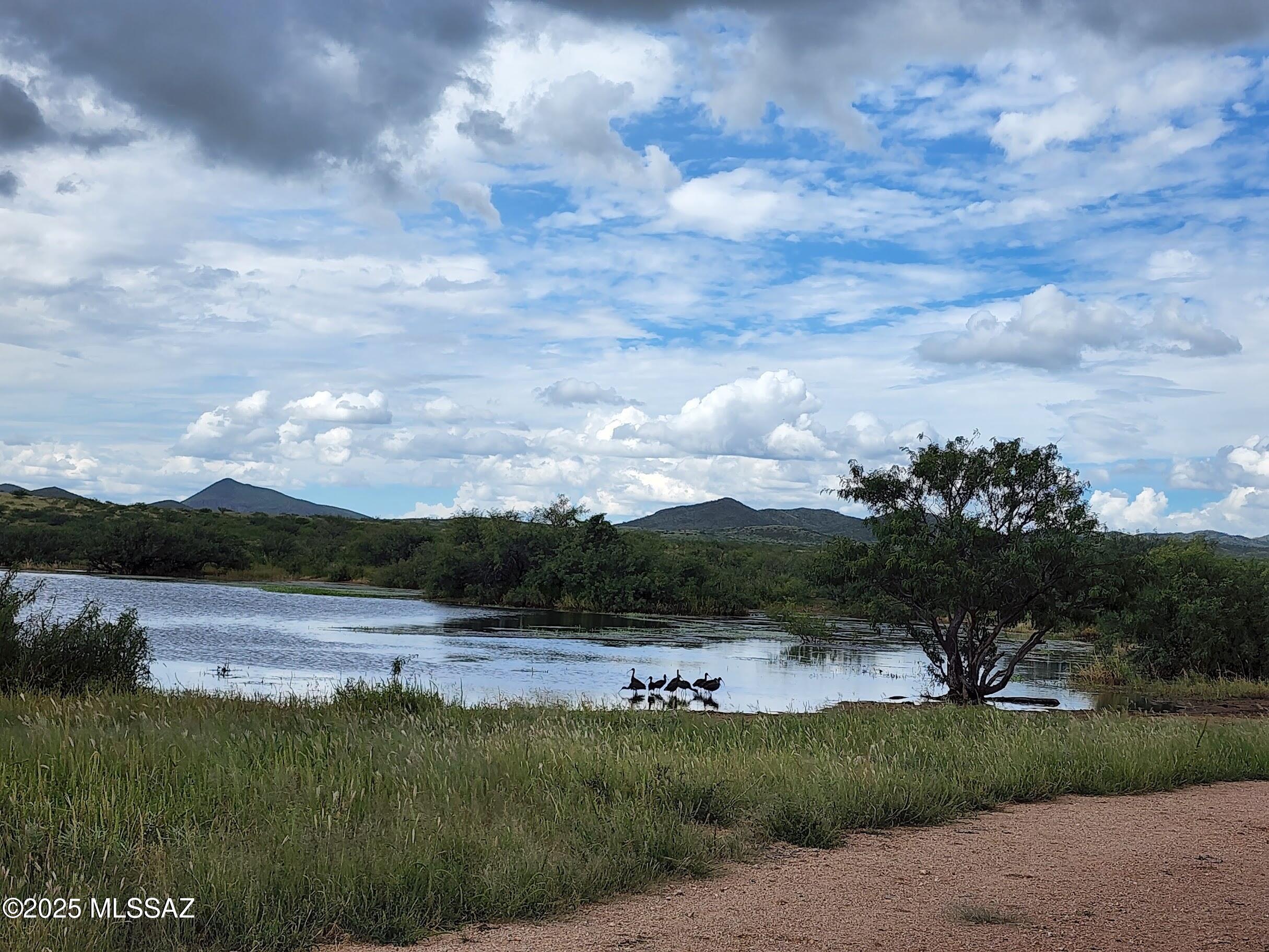 MOTIVATED SELLER!! MASSIVE $1,000,000 PRICE REDUCTION! The Double U Ranch, is a historic, working cattle ranch situated approximately 13 miles east of Tombstone, SAZ. It is one of the most user-friendly ranches for both the new & most experienced cattle ranchers anyone could ever hope to find. The ranch spans a total of 9,555 acres & is located at the end of the road creating ultimate privacy. This includes 6,315.07 adjoining deeded acres & an additional 3,240 acres under an Arizona State Land Grazing Lease making this one of the largest contiguous ranches in Arizona. It consistently supports 300+ head year-round of Angus & Brangus cattle & the sellers have carried 600 AU in prior years.   
The ranch is extremely well watered, equipped with 12 registered wells, 7 solar pumps, 4 windmills 4 dirt tanks, pipelines & numerous drinkers are strategically placed throughout the ranch ensuring cattle have water available every quarter mile or so. 

Unlike most high desert areas, the Double U Ranch contains a vast amount of sandy loam soil crisscrossing throughout the property, aiding the lush natural growth of nutritious grasses and brush, with mesquite trees, cottonwood and even some black walnut trees brought in by the original homesteaders! This healthy vegetation and rainfall have historically supported the strong AU numbers. You will never grow tired of the views. They are incredible in every direction and from every location and season on the ranch. 
The annual climate is very mild and comfortable. The winter days are in the low 60's and nights average 36 degrees. Summer days average 90 and nights in the mid 60's. The annual precipitation is 14 to 15 inches. 
Located at the southern tip of the scenic Dragoon Mountain range, the rolling topography ranges from 4,500' and rising to 5,280' atop Hay Mountain. There is an old signal beacon located on top due to the expansive 360 degree views. There is also an old historic stagecoach stop located on the ranch. 

The ranch is home to abundant and diverse wildlife, including Mule Deer, White Tail Deer, Javelina, Coyote, Foxes, Cottontail and Jackrabbit, Mountain Lion and Bobcat. Bird species such as Hawks, Falcons, Roadrunners, Eagles, Ducks, and White-Faced Ibis also inhabit the area. You will also find Dove and remarkably this area has all three Arizona Quail species - Gambel, Scaled and Mearns Quail. 
The ranch fencing and cross fencing is good with numerous pastures. The perimeter gates are locked by the owners and the interior roads are private. This has many positive benefits for day-to-day ranch efficiency and creates a private game refuge where the hunting is excellent and trophy bucks are common.  

Improvements on the ranch include a historic 1,847 sq ft, 3-bedroom, 2-bathroom house with a covered front patio. Additional structures comprise a separate bunkhouse currently used for laundry and storage, stock pens adjacent to a large 20 x 60-foot quonset building with a concrete floor, a 20 x 20-foot tack room, a machine shop, and a hay barn. Steel-piped pens and wood corrals surround a large squeeze chute and two calf tables, along with a 10 x 12-foot cattle scale and loading chute. Electric power lines and a propane tank supply the headquarter improvements. The ranch is offered with equipment available separately through a private treaty.
      
There Double U Ranch has so much potential.
The ranch is free of any Conservation Easements making it even more rare on a ranch of this great size in today's market. However, it remains an option for the new owner to place a Conservation Easement on the ranch or even part of it. The new owner could create this easement which may create substantial tax benefits. Please check with your CPA or tax attorney for verification and details. 
The buyer also has another angle to consider here due to all of its positive attributes already mentioned especially the beauty, water availability, access and location close to Tucson and Phoenix; it is a prime candidate for a subdivision.

With its dramatic beauty, diversity of the land, strong vegetation, stunning views, great access, historic location, mild annual climate, excellent carrying capacity and very attractive price make this ranch hard to pass on. You will be very hard pressed to find a better working cattle ranch on the market anywhere in Arizona today. Come visit and make this legacy ranch yours. 
             
Tax Parcels: 111-01-004D, 111-25-001A, 111-25-001B, 111-25-001C, 111-01-004C