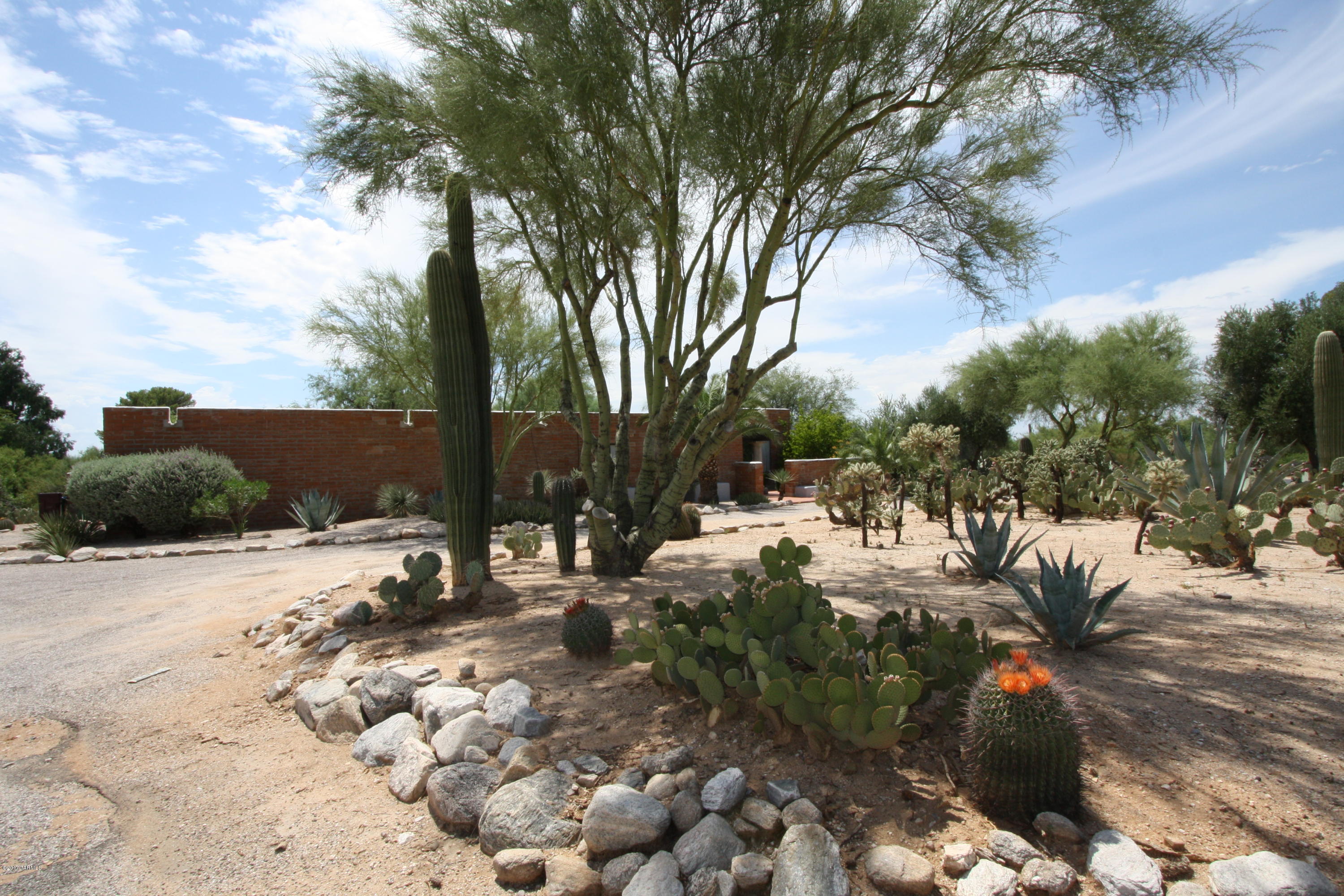 Beautiful Adobe Home in Catalina Foothills with Spectacular Mountain Views! Spacious Living Room/Dining Room, Family Room w/Fireplace, Open/Bright Kitchen w/Granite counters and Huge Pantry! New Carpet, Paint, and Appliances. Pool Service is Included!! Don't Miss Out!