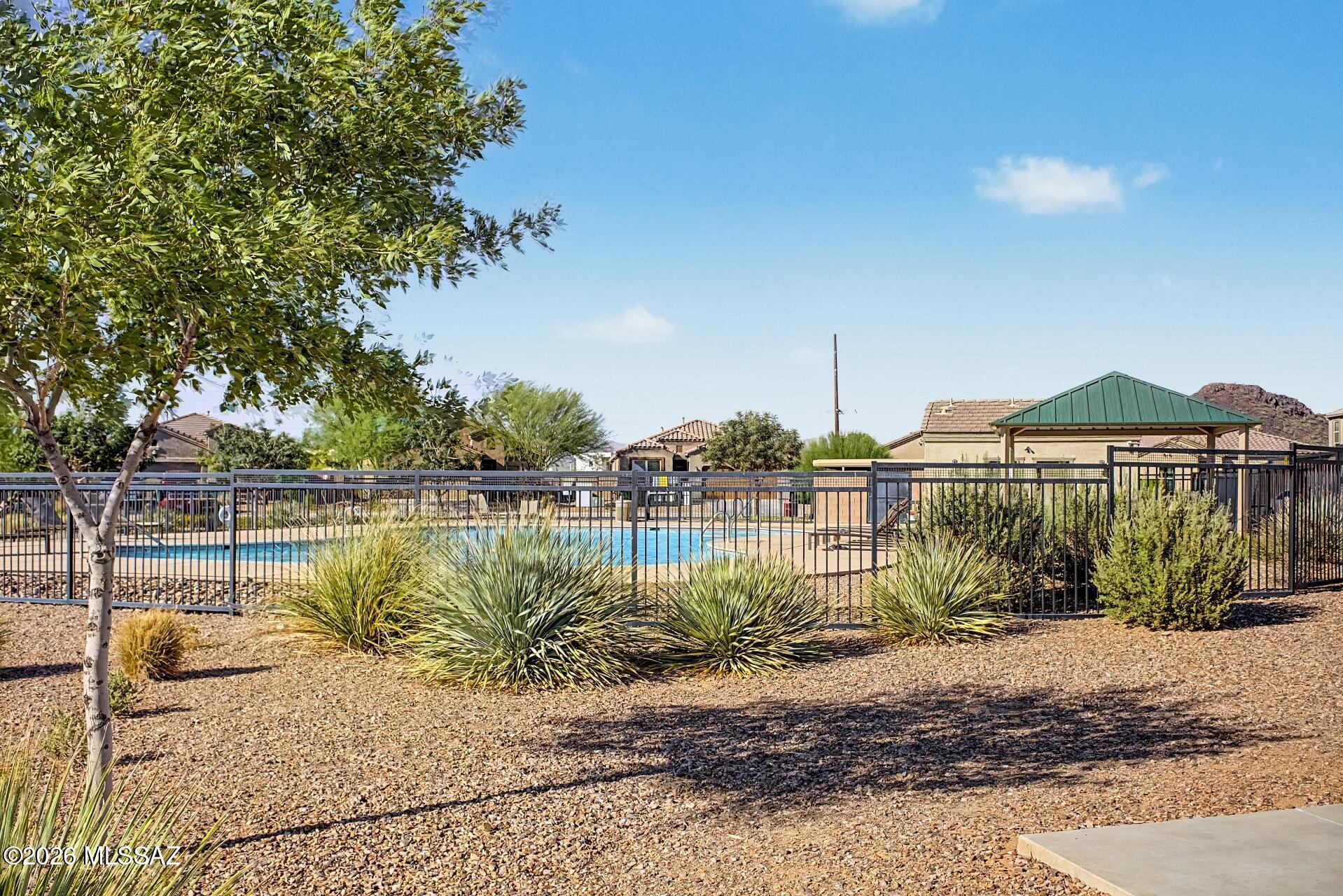 Saguaro Bloom - Residential